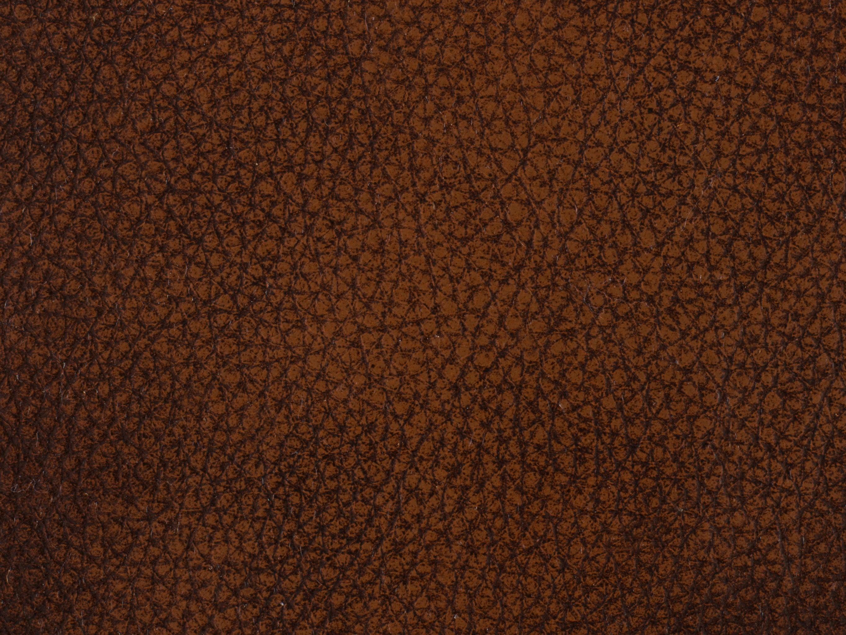 Conlon Recliner - Frankwebs