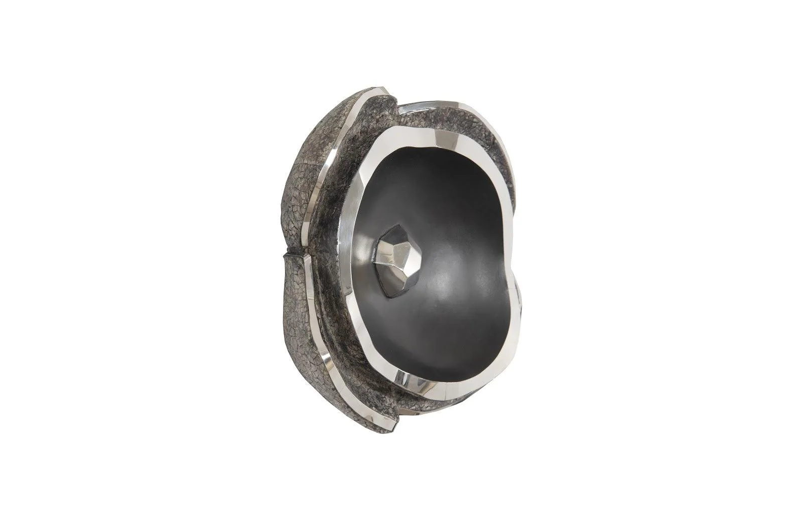 Pen Shell Wall Art - Frankwebs