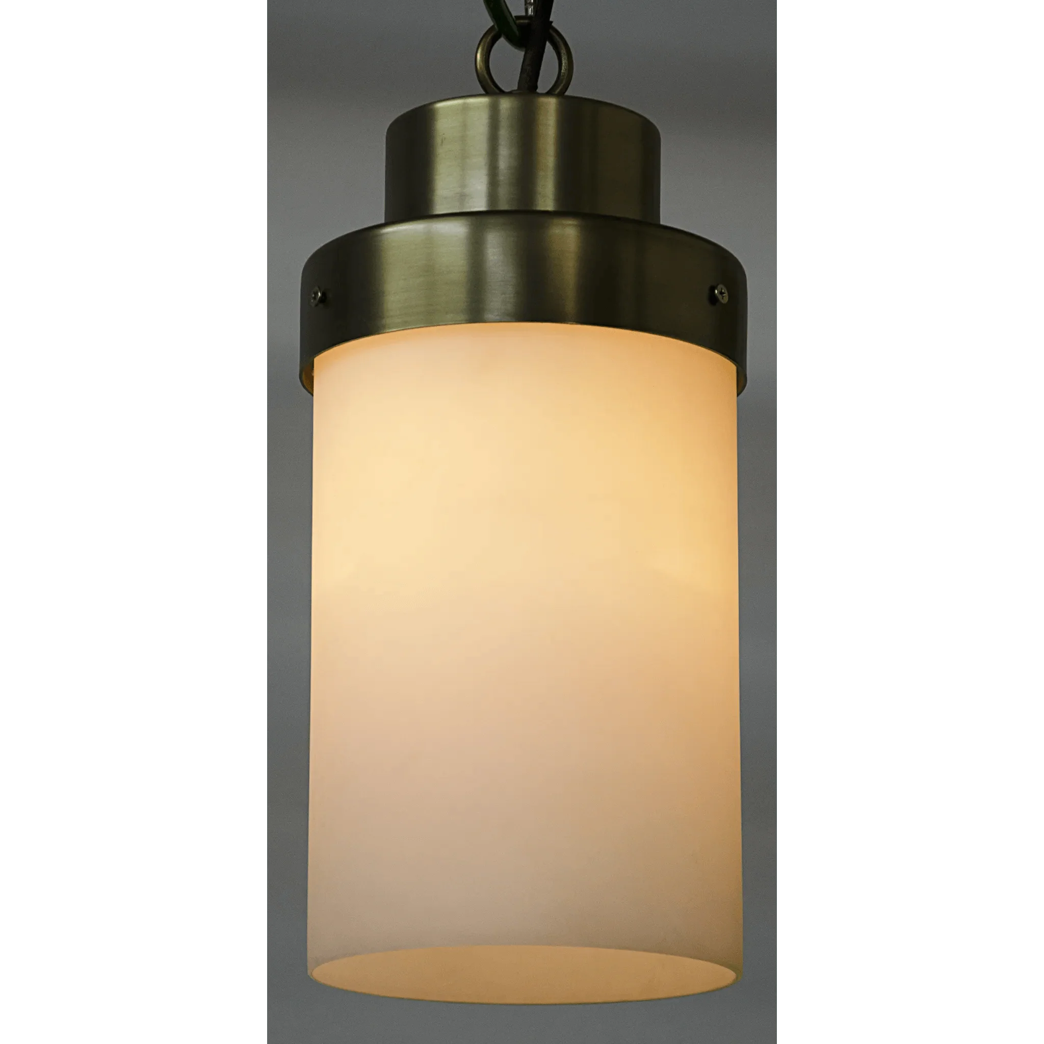 Eleonore Pendant, Steel with Brass Finish - Frankwebs
