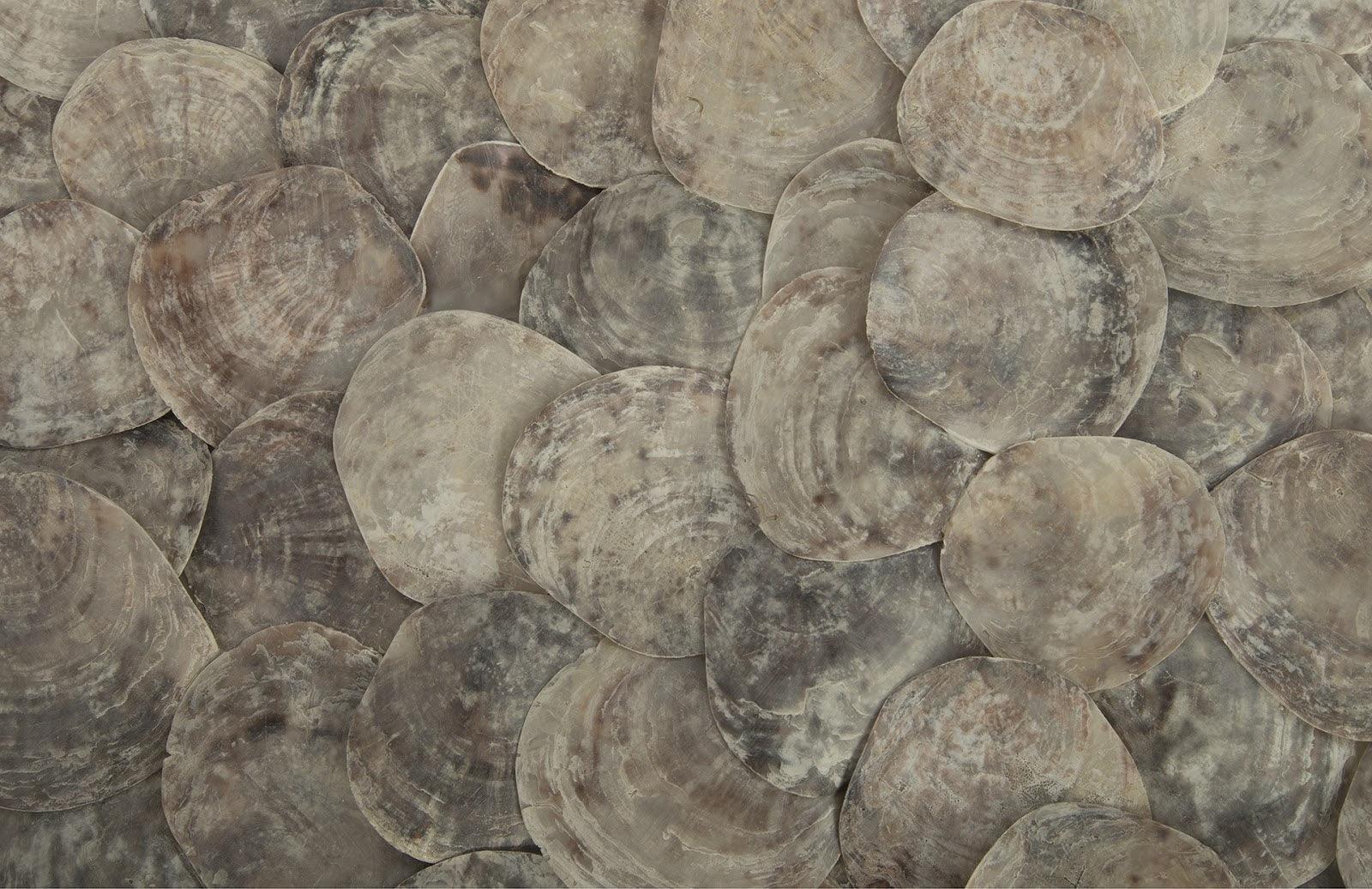 Shell Coffee Table, w/Glass, Ming SS Legs - Frankwebs