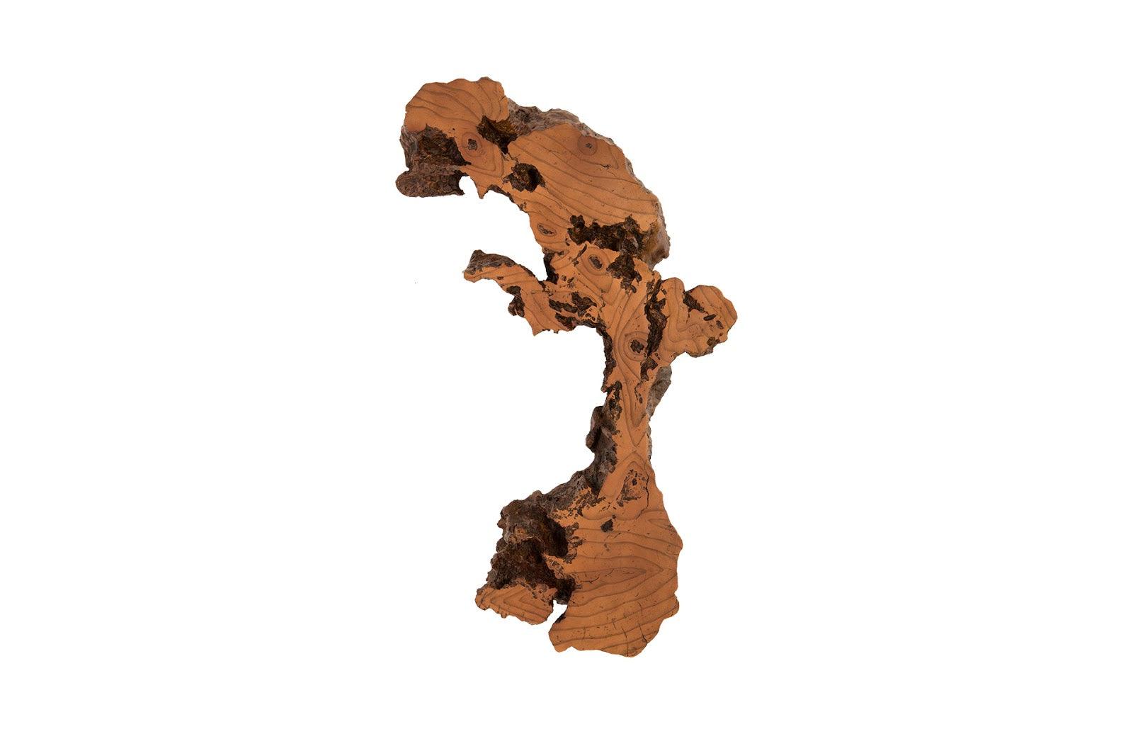 Burled Root Wall Art, Medium, Faux Bois Finish - Frankwebs