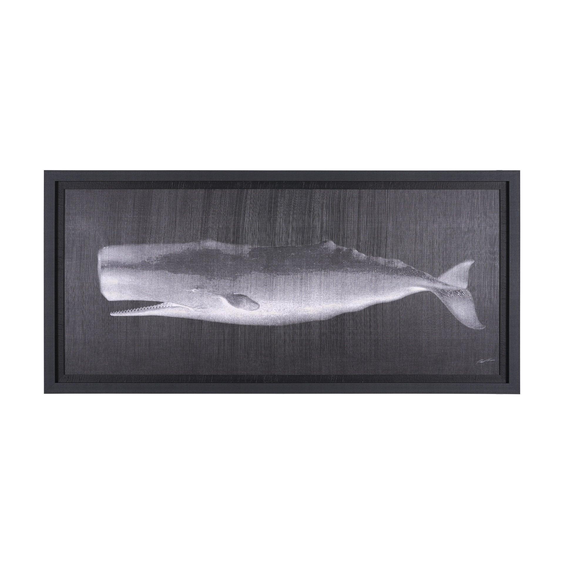 Whale Watching II - Frankwebs