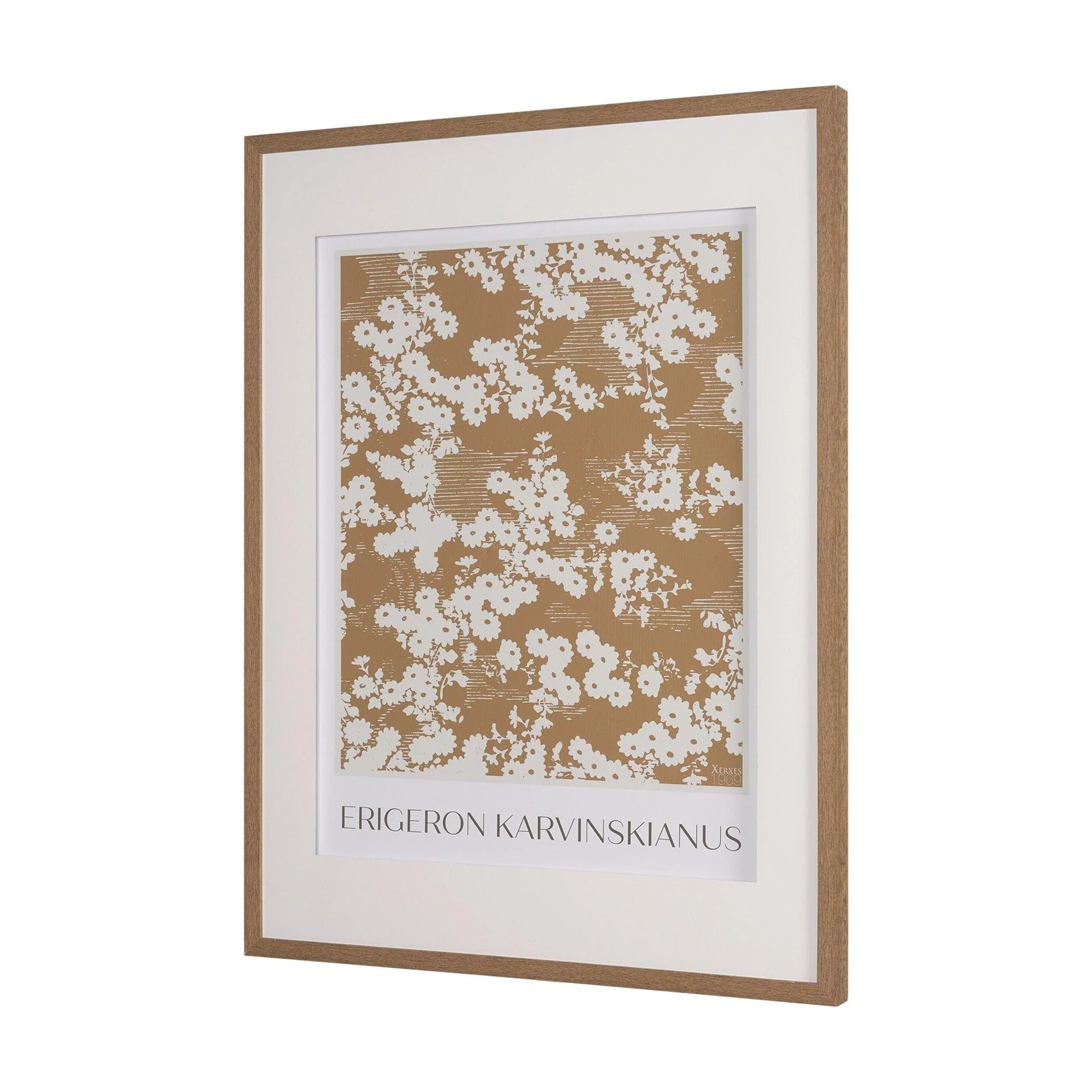 Belleza En Flores II - Frankwebs