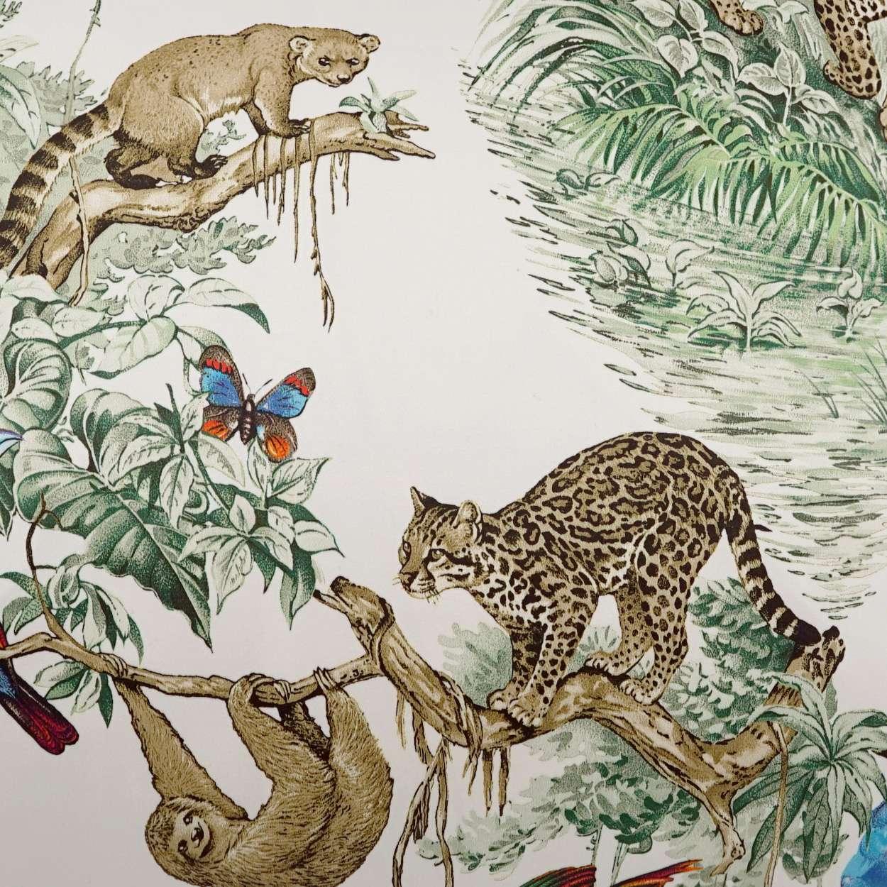 Madagascar Pillow - Frankwebs