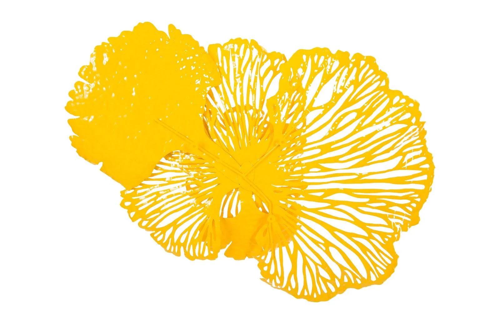 Flower Wall Art, Medium, Dandelion, Metal - Frankwebs