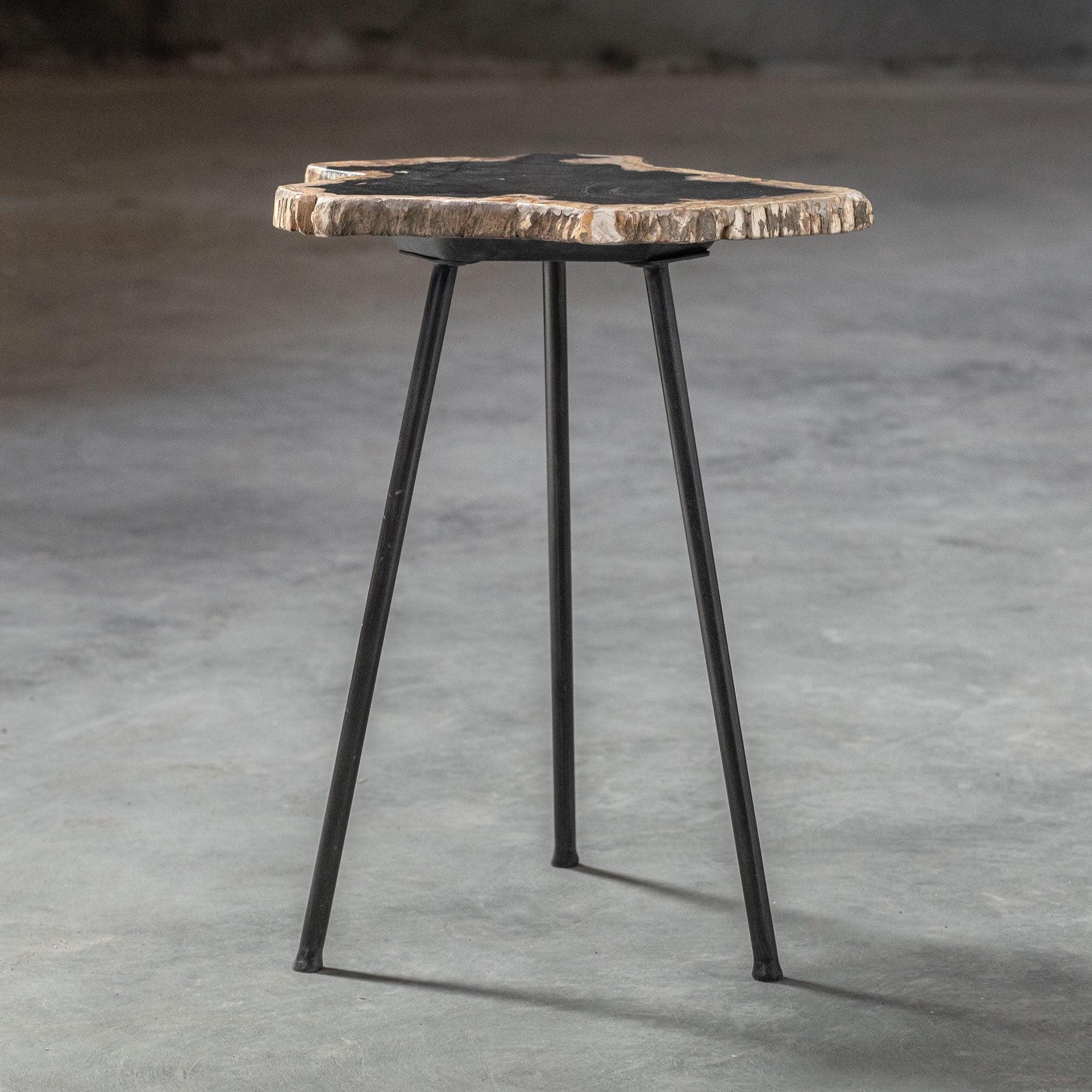 MIRCEA PETRIFIED WOOD ACCENT TABLE - Frankwebs