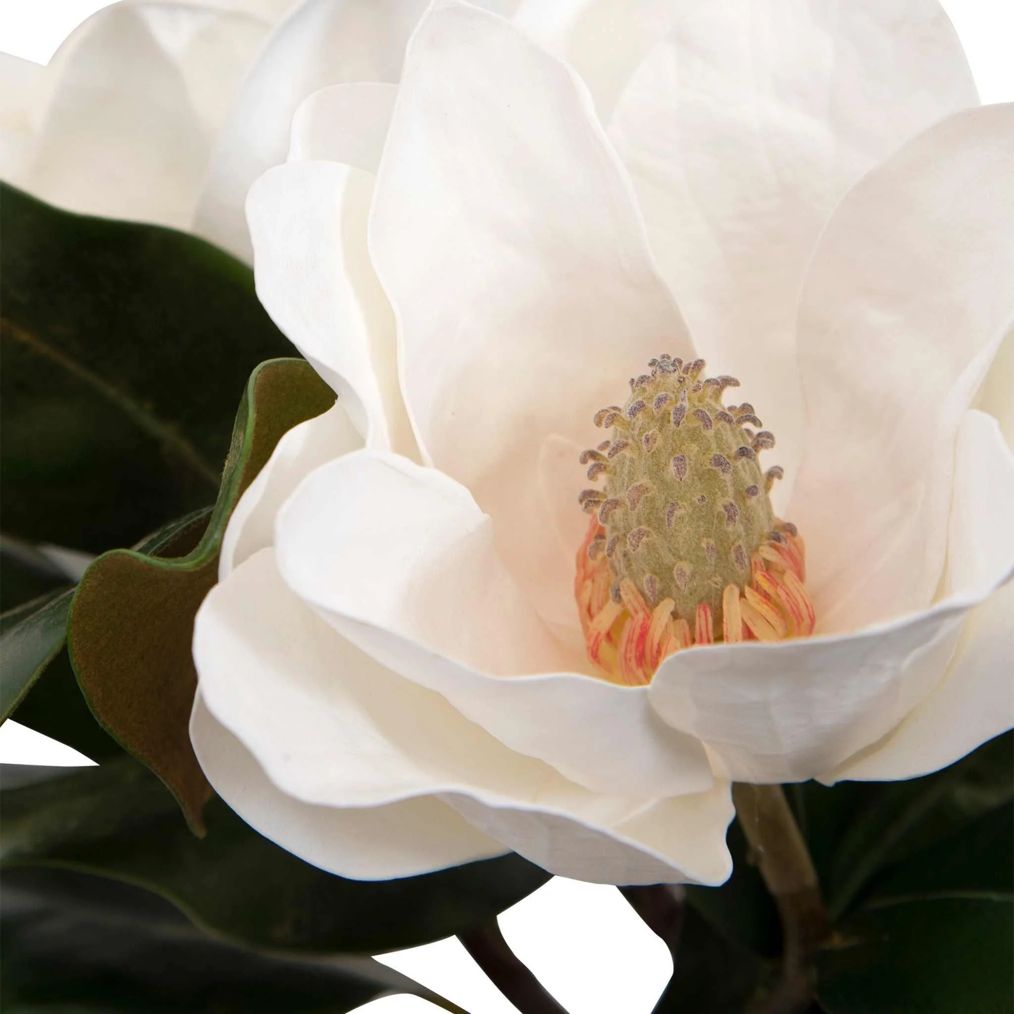 Middleton Magnolia Flower Centerpiece - Frankwebs