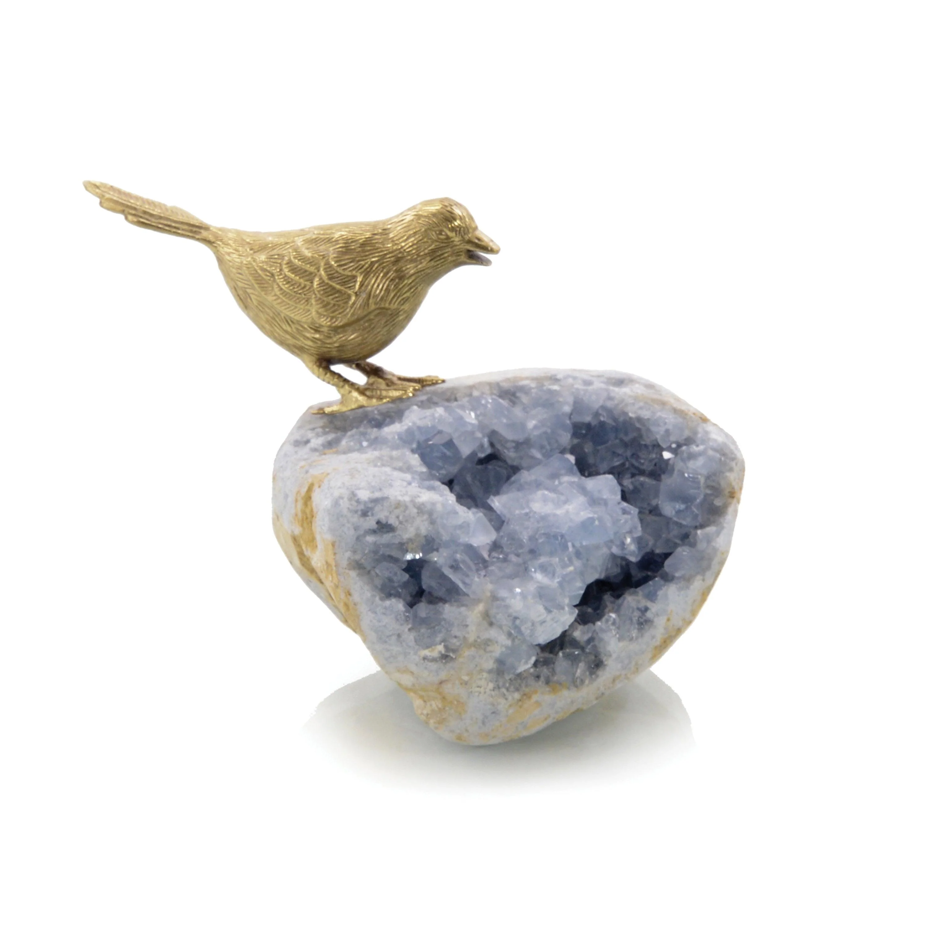 Bird On Celestite Rock I - Frankwebs