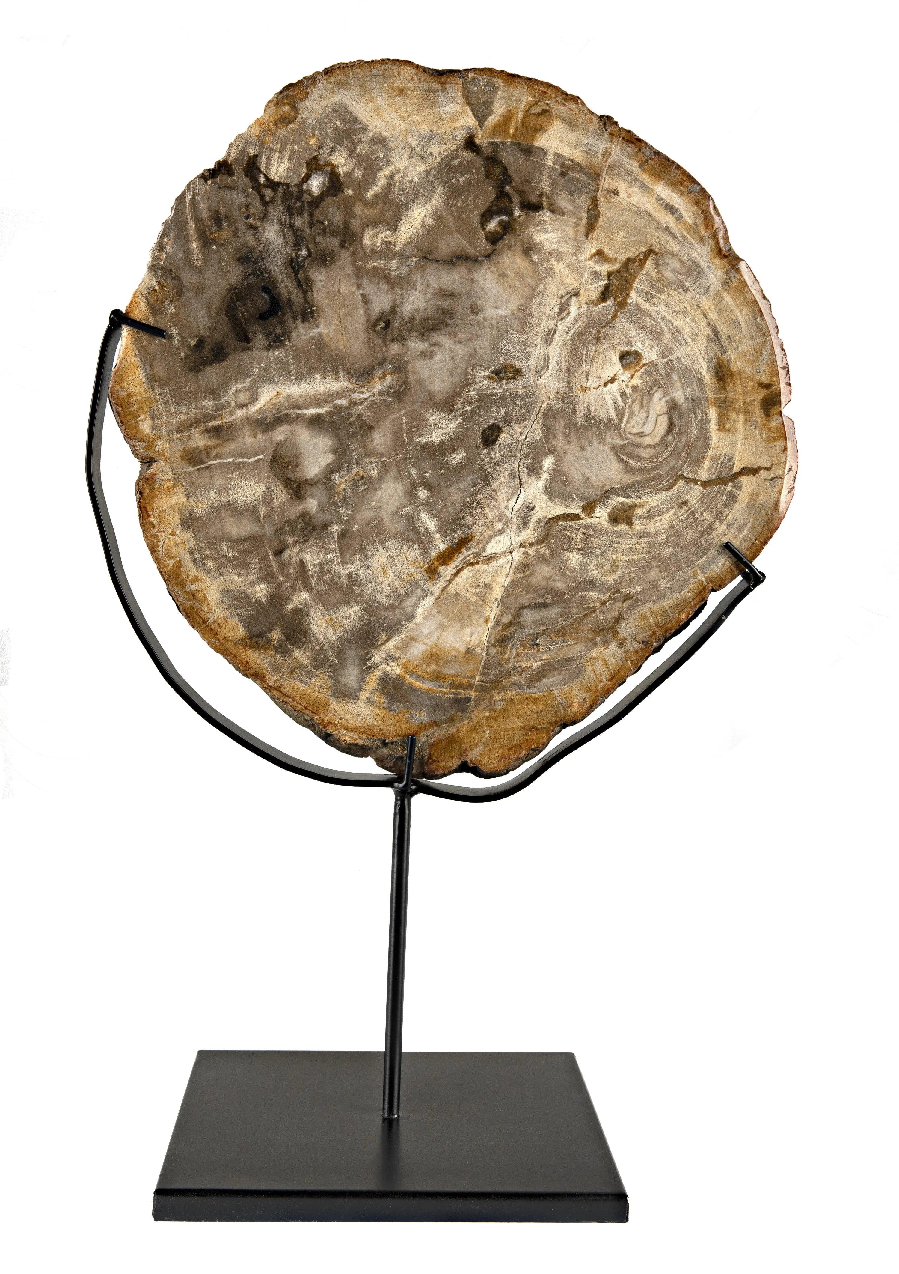 Wood Fossil with Stand, 12