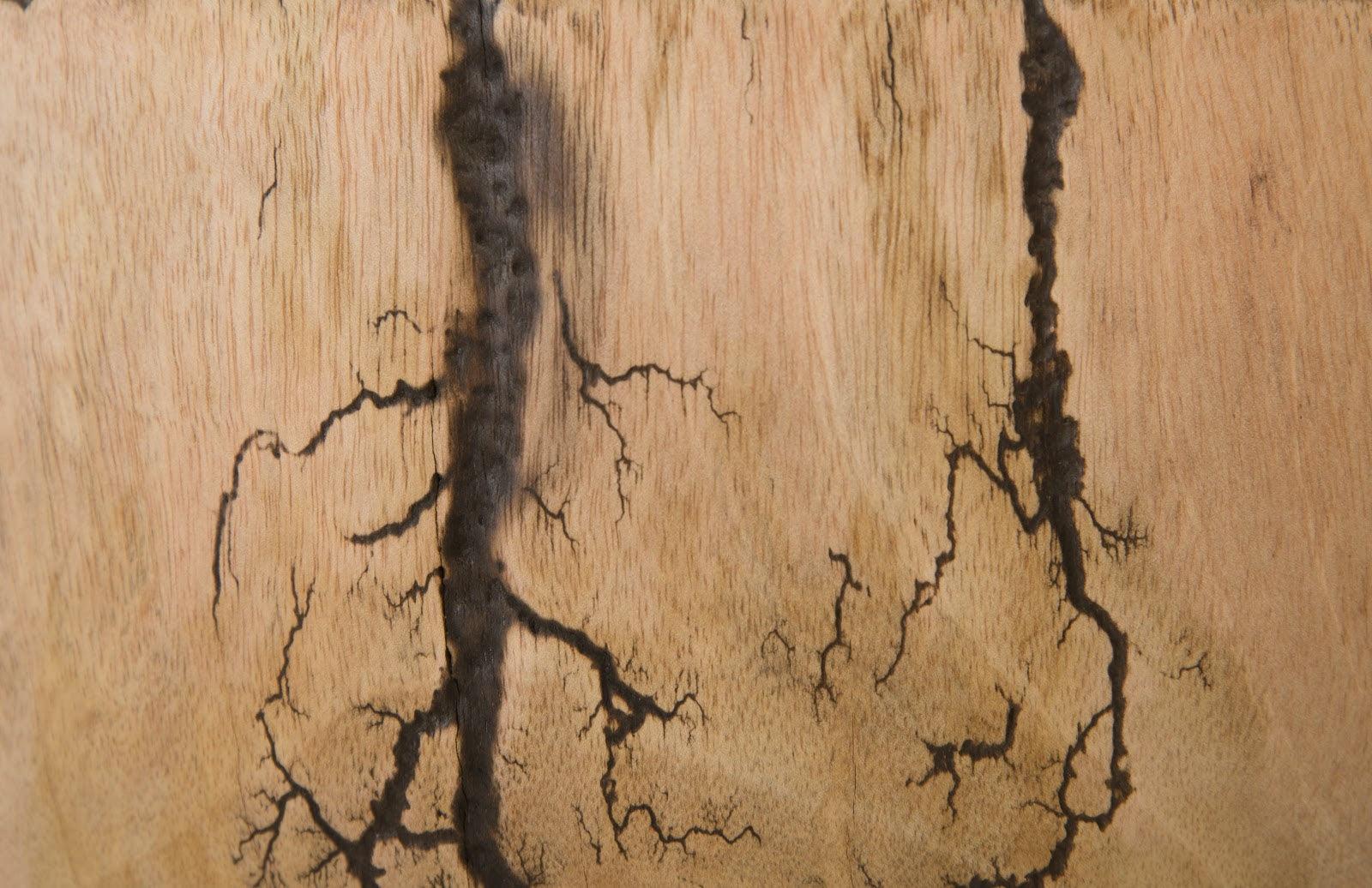 Lightning Bowl, Mango Wood - Frankwebs