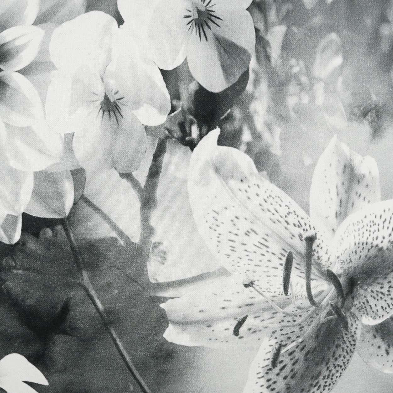 Superbloom Pillow - Frankwebs