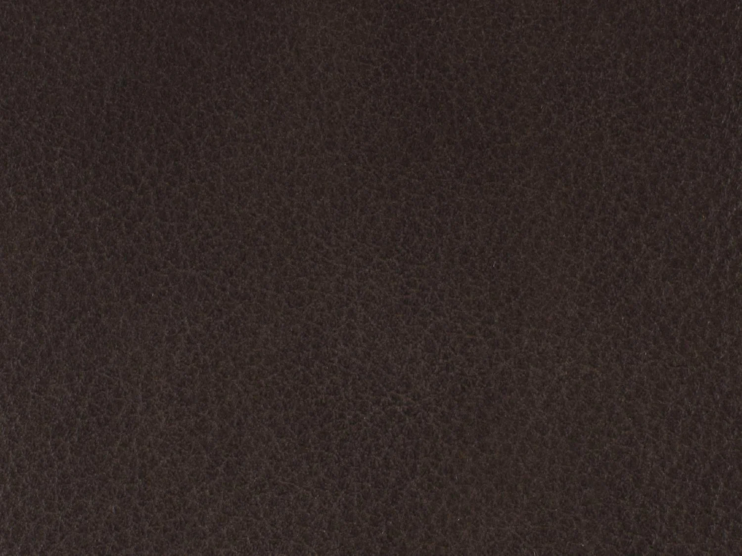 Lynn Executive Swivel Tilt Chair - Frankwebs