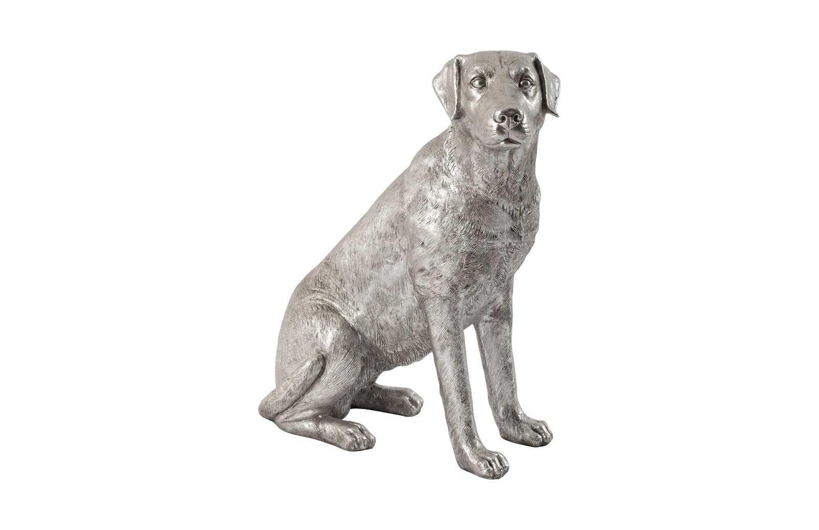 Labrador Dog, Sitting, Silver Leaf - Frankwebs