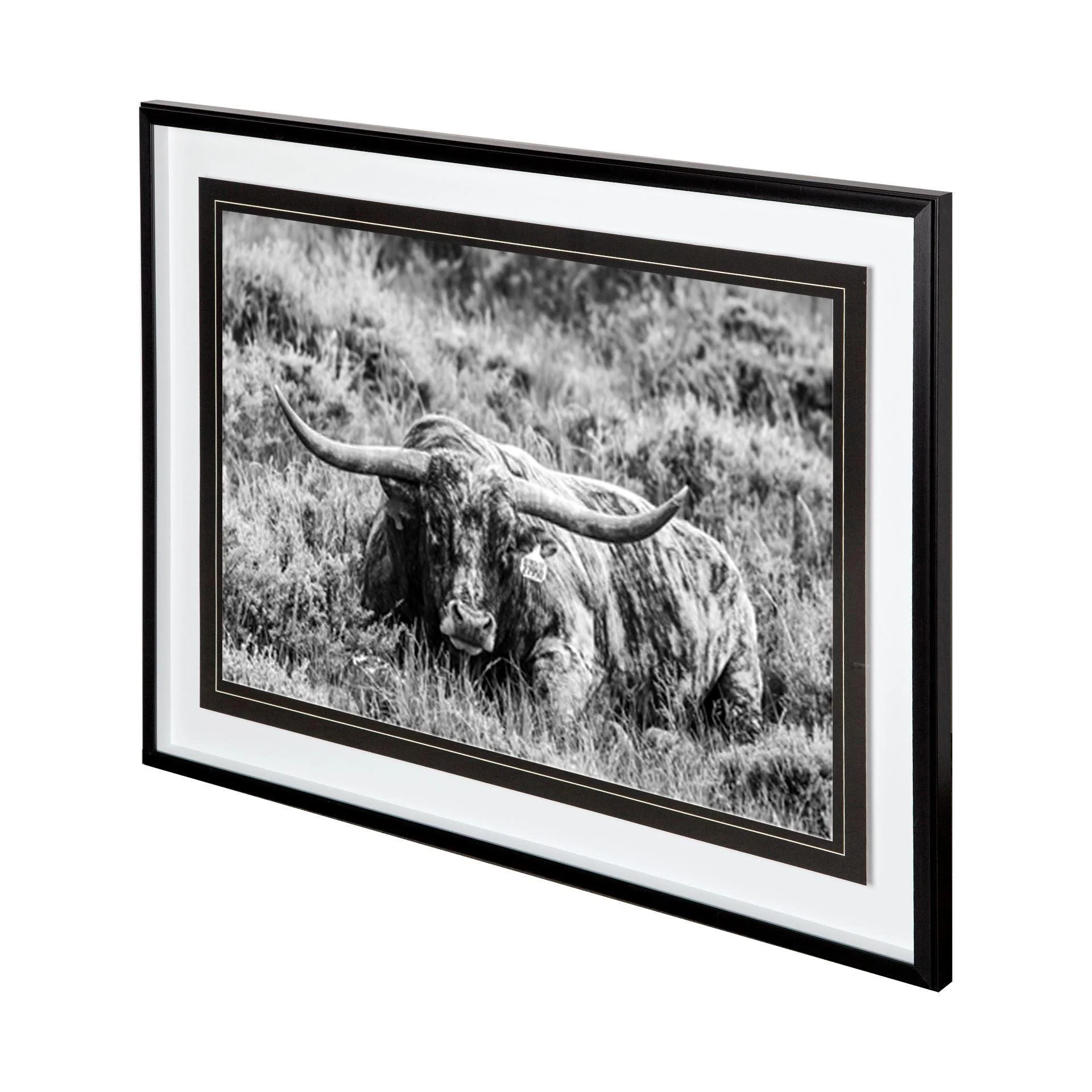 B&W Longhorn III - Frankwebs