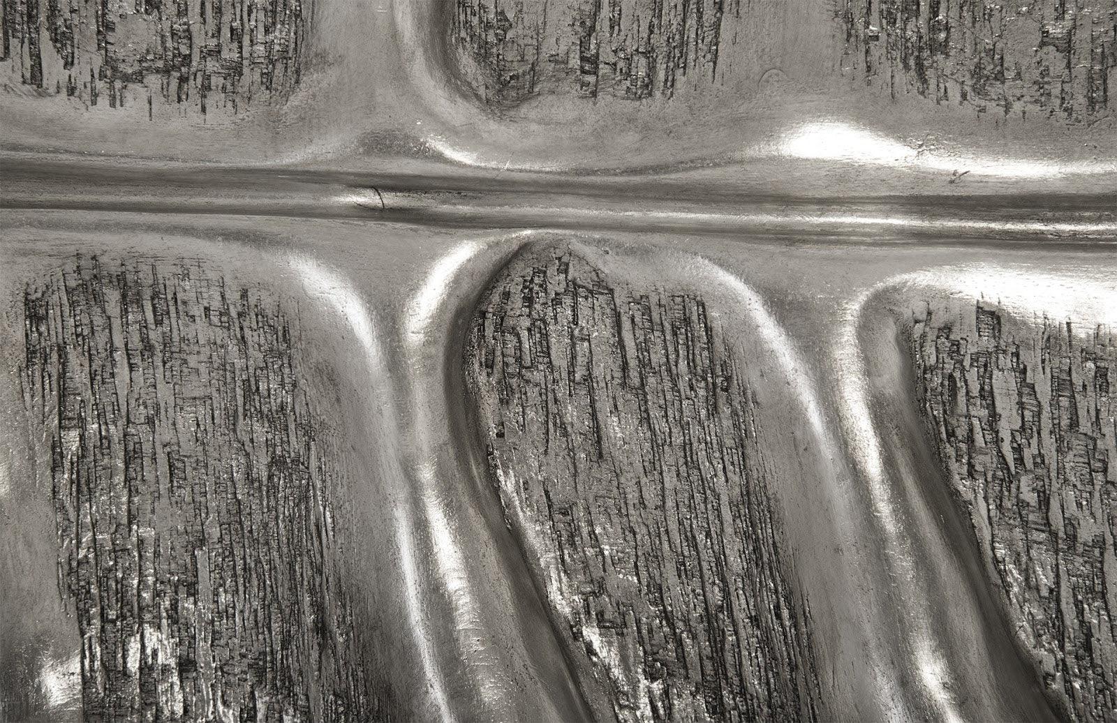 Petiole Wall Leaf, Silver, LG, Version A - Frankwebs