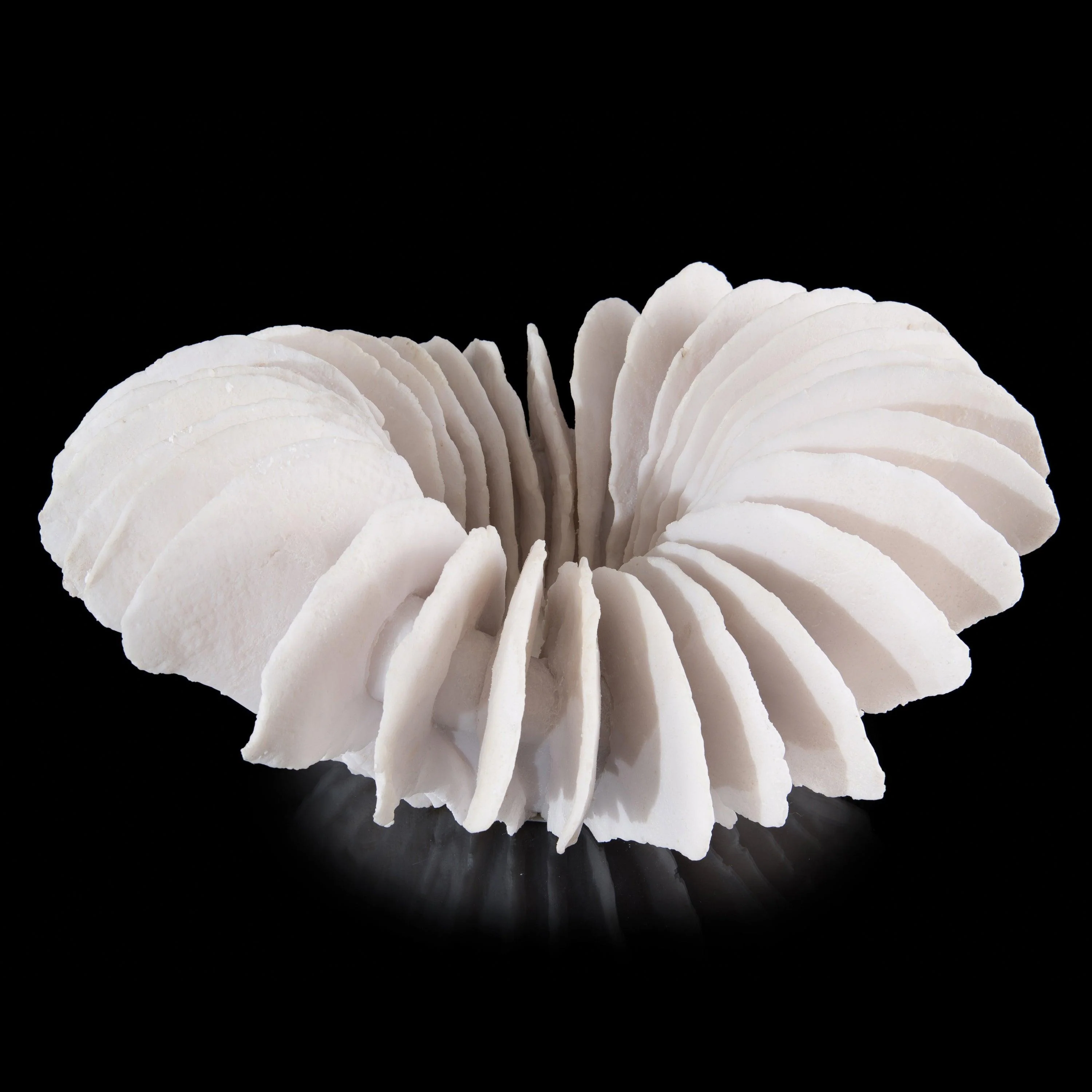 Translucent Ridges Bowl - Frankwebs