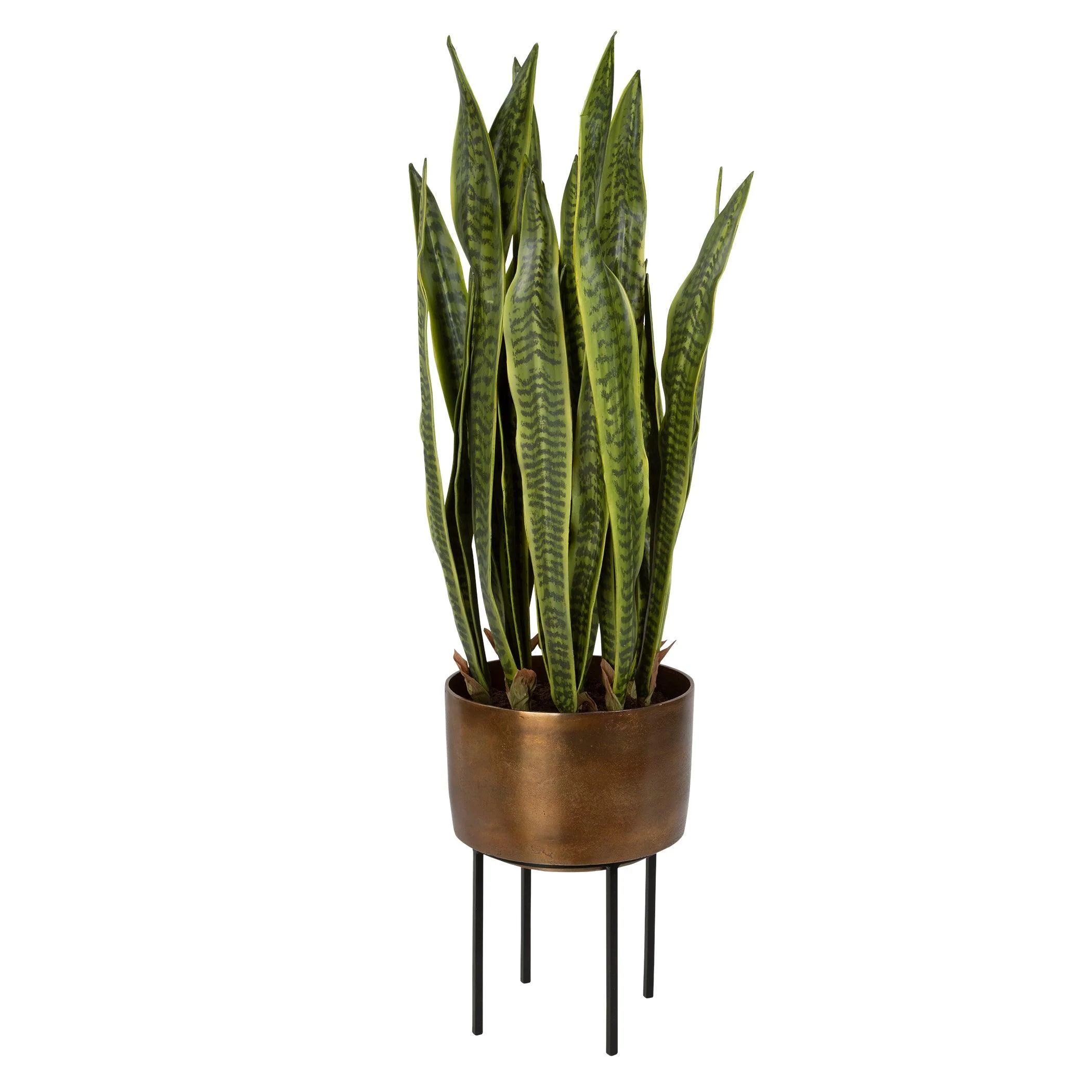 FASITA BRASS PLANTER 2 CARTONS - Frankwebs