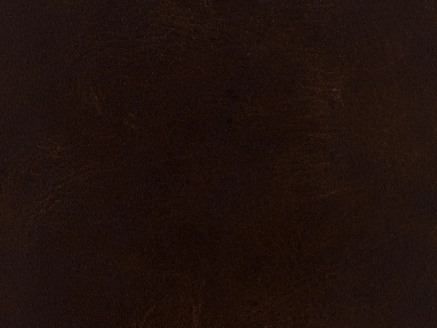 Maya Wing Club Chair - Frankwebs