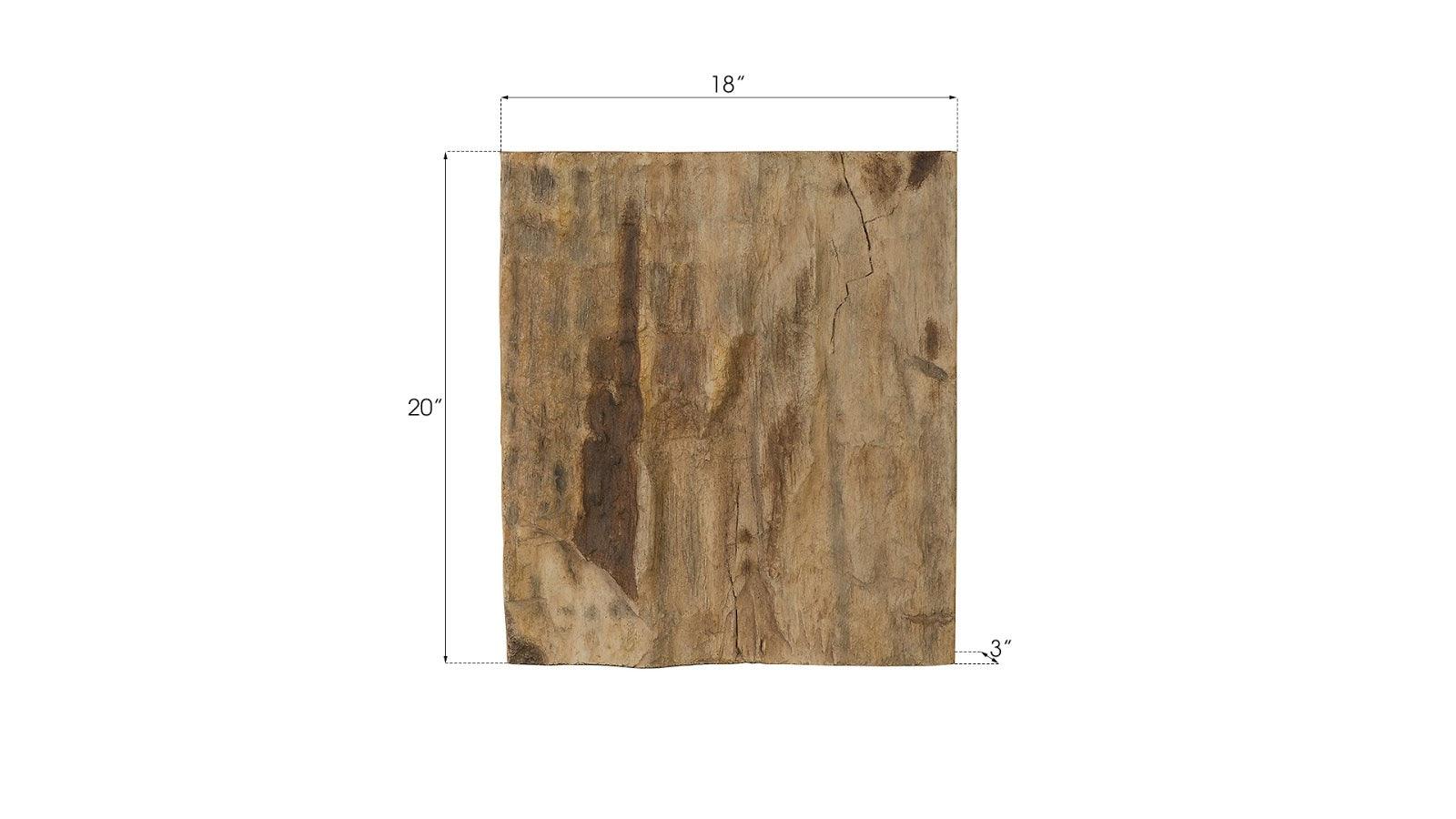 Cast Petrified Wood Wall Tile, Resin, Square - Frankwebs