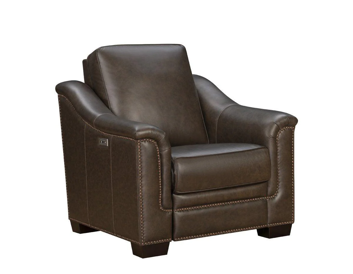 Chapel Hill Power Recliner - Frankwebs