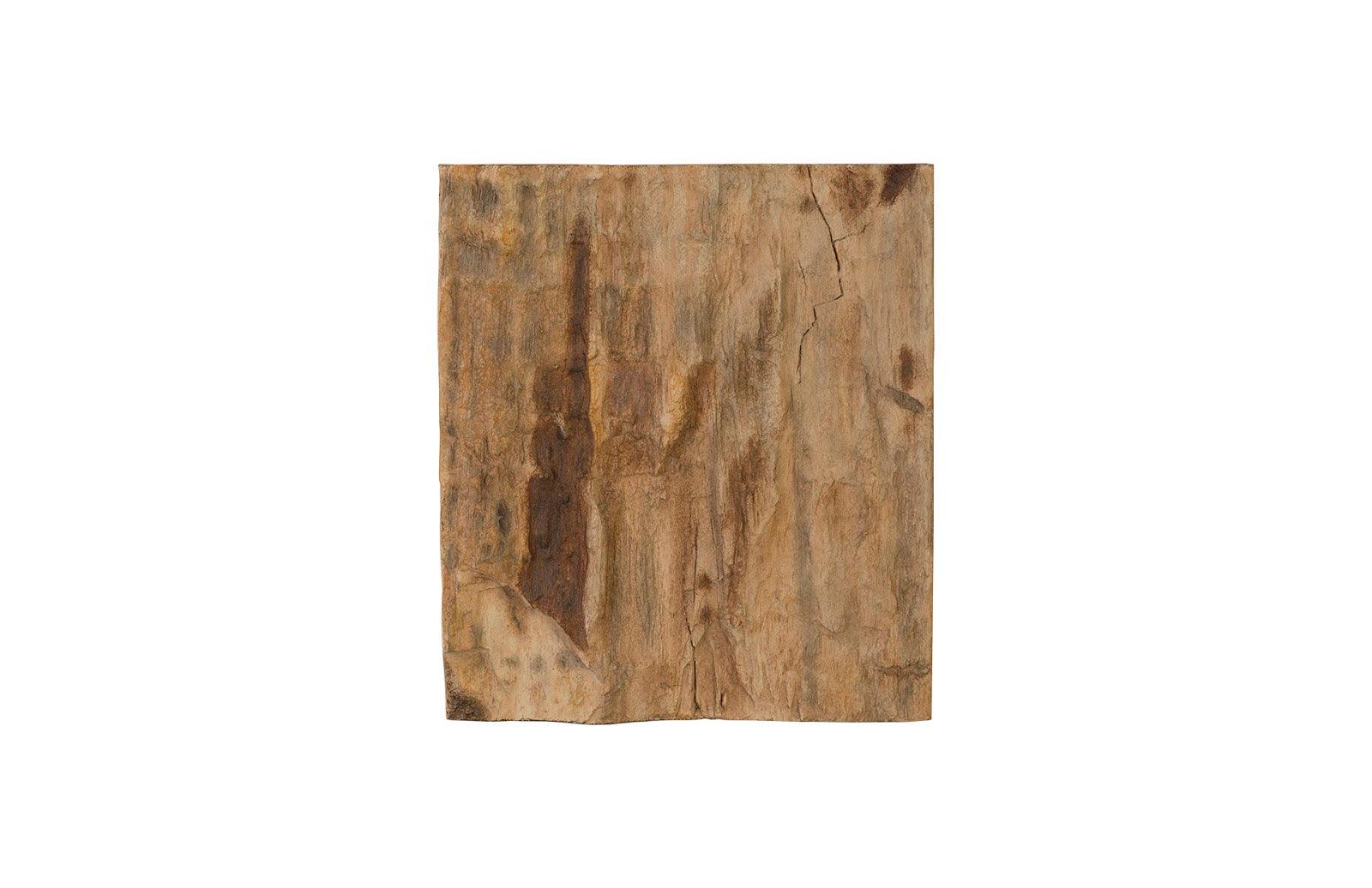 Cast Petrified Wood Wall Tile, Resin, Square - Frankwebs