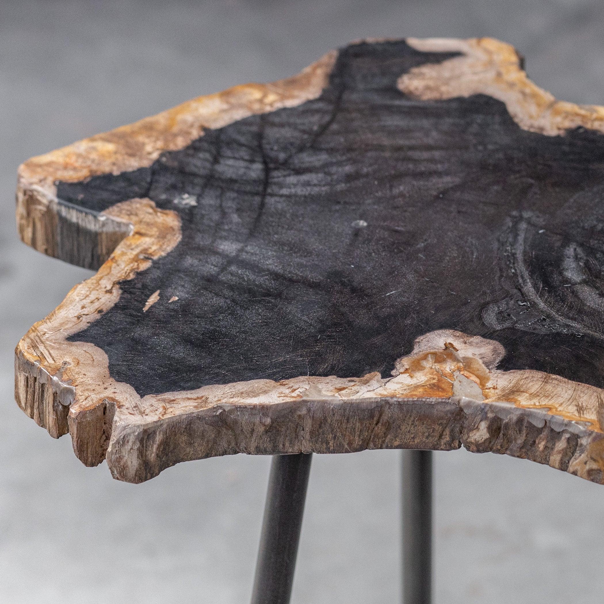 MIRCEA PETRIFIED WOOD ACCENT TABLE - Frankwebs