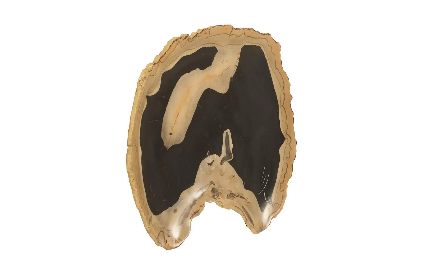 Cast Petrified Wood Wall Tile, Resin, Thin - Frankwebs