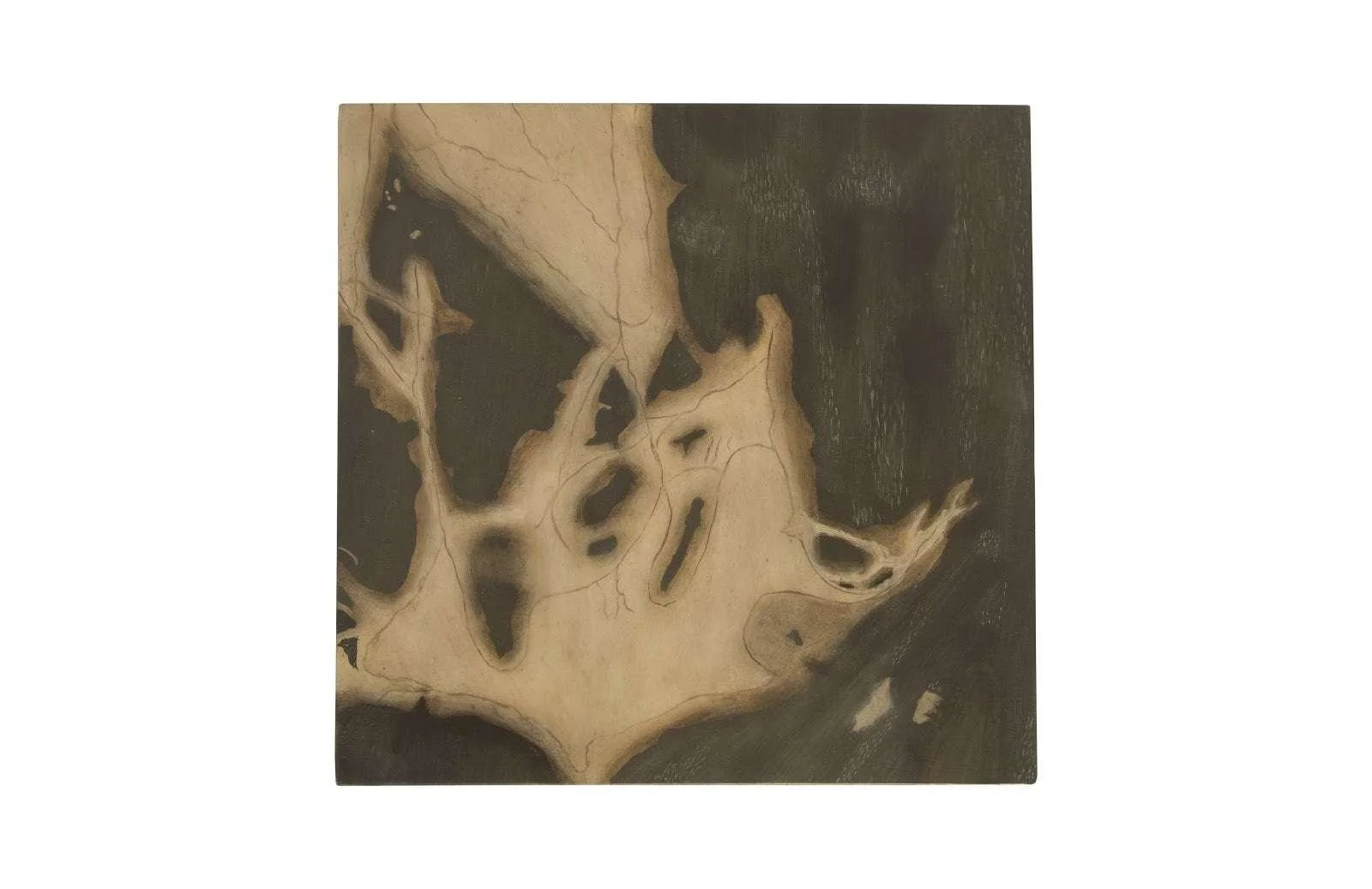 Cast Petrified Wood Stool, Resin, Square - Frankwebs