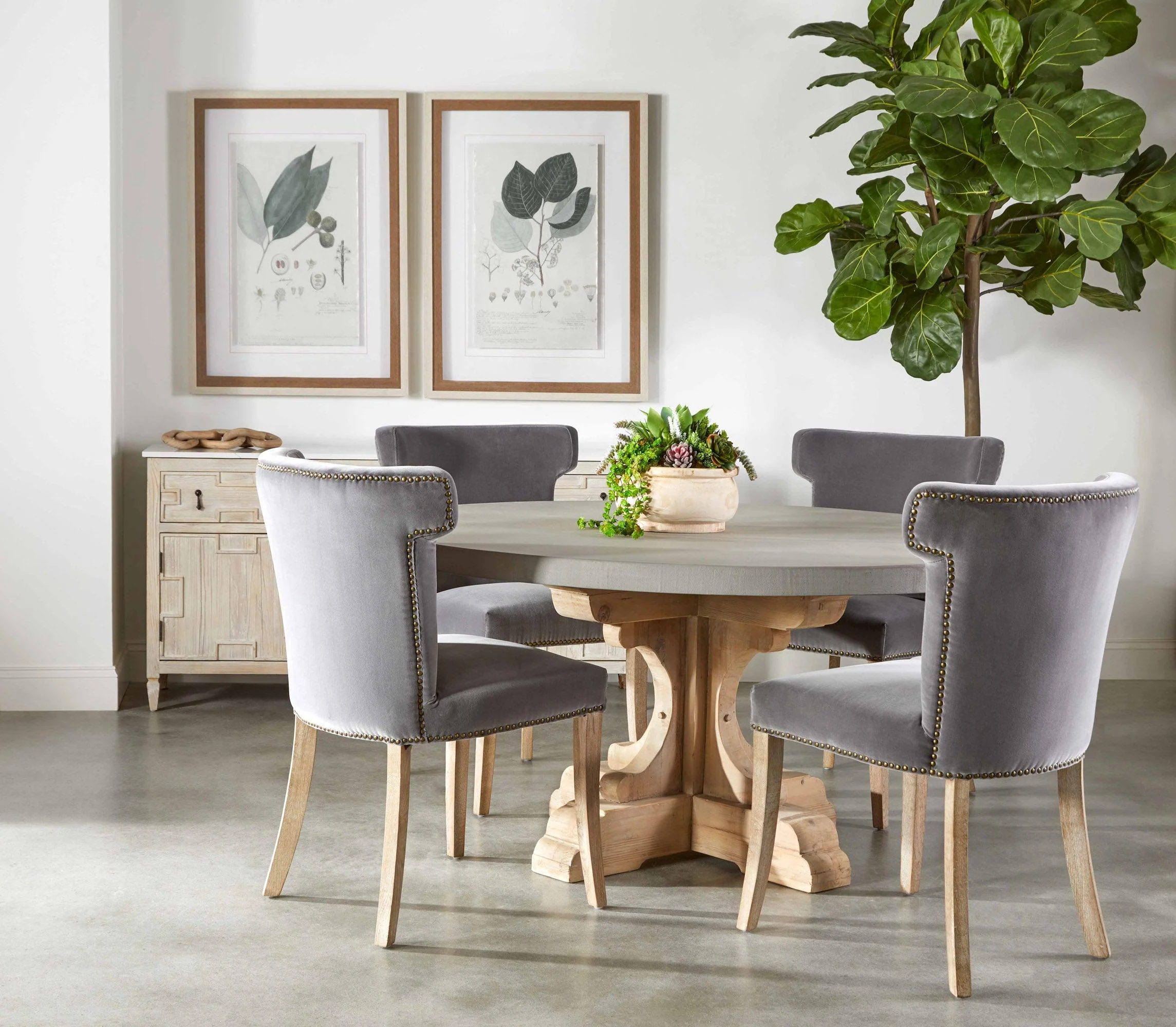 Celina Dining Chair - Frankwebs