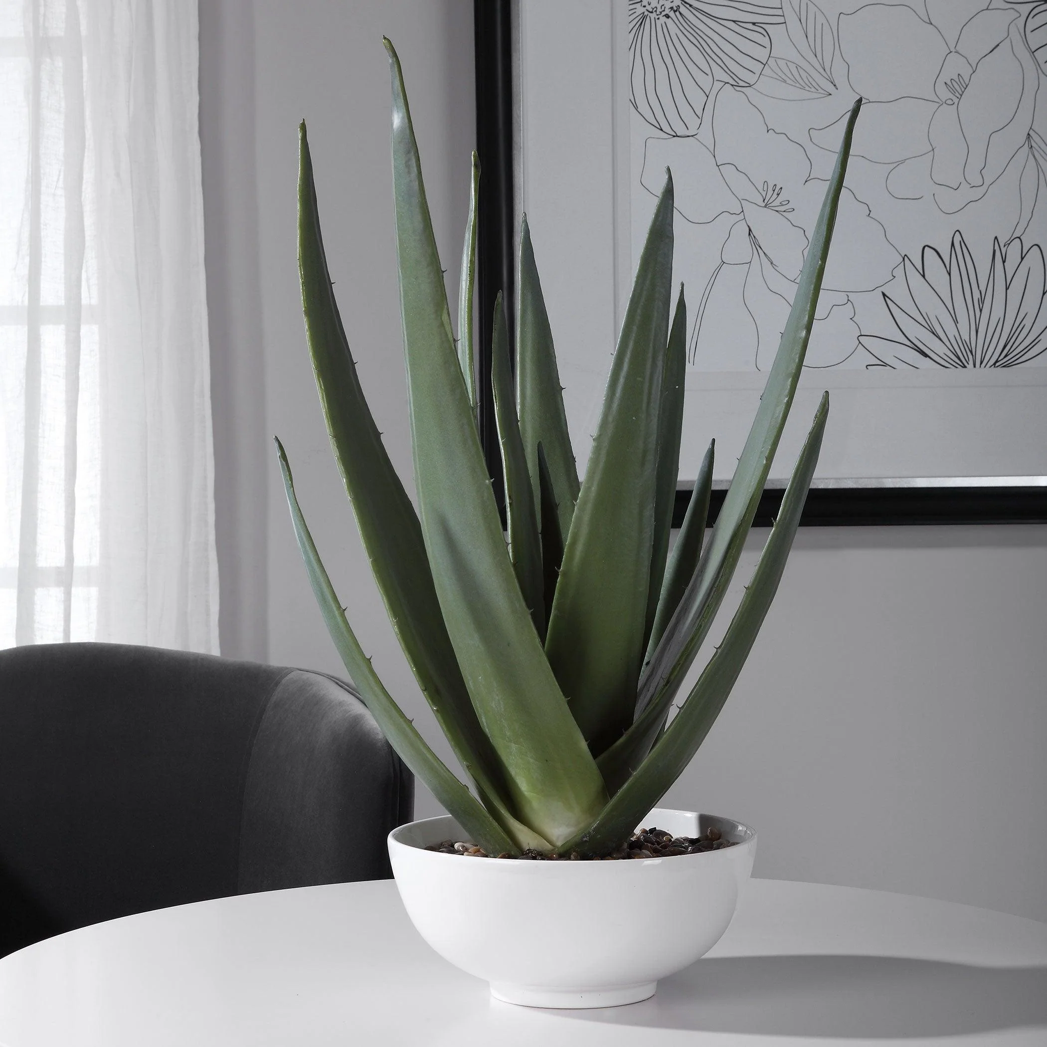 EVARADO ALOE PLANTER - Frankwebs