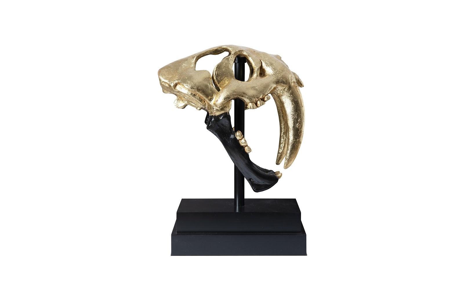 Saber Tooth Tiger Skull, Black, Gold Leaf - Frankwebs