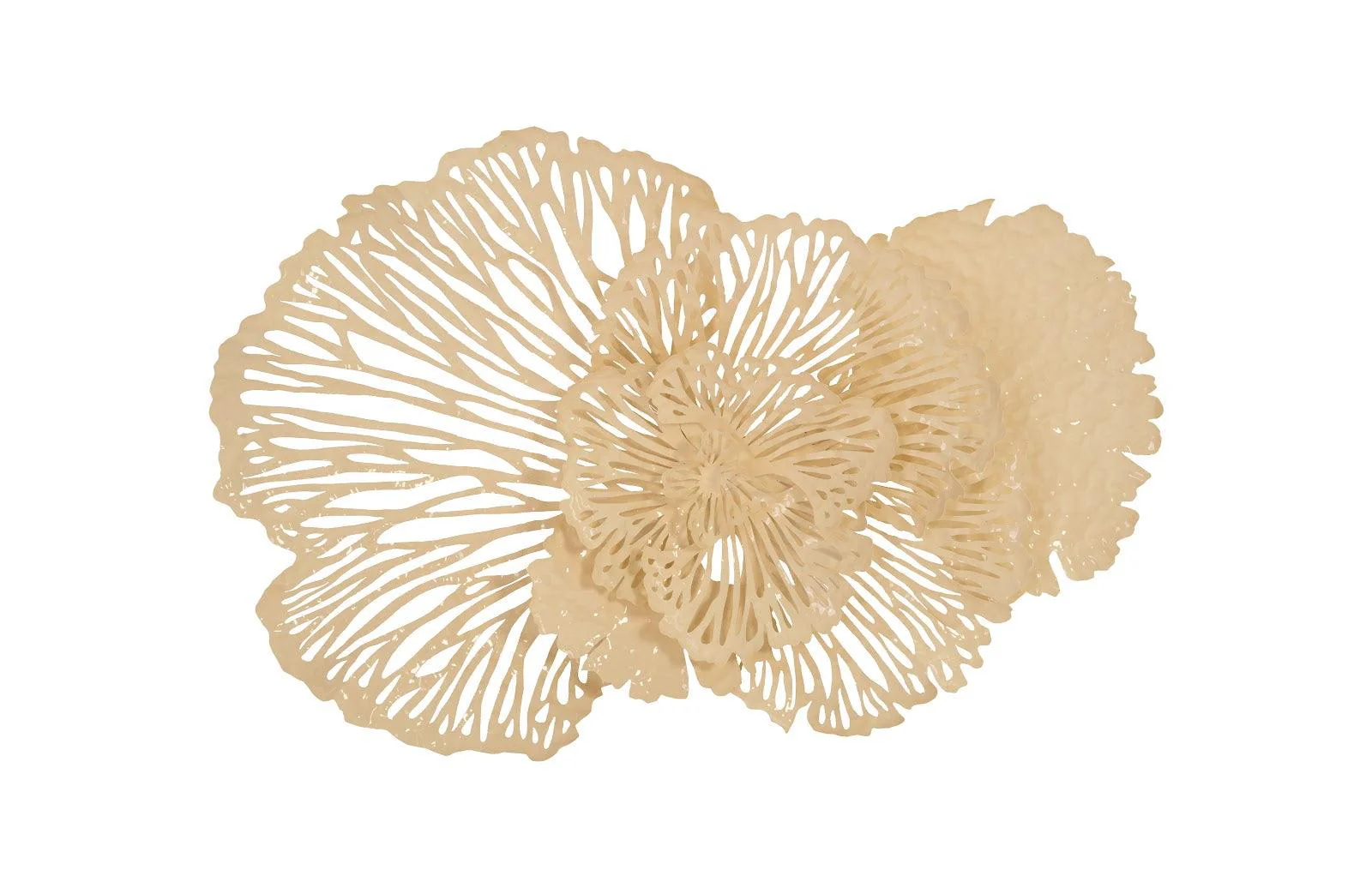 Flower Wall Art, Ivory, MD - Frankwebs