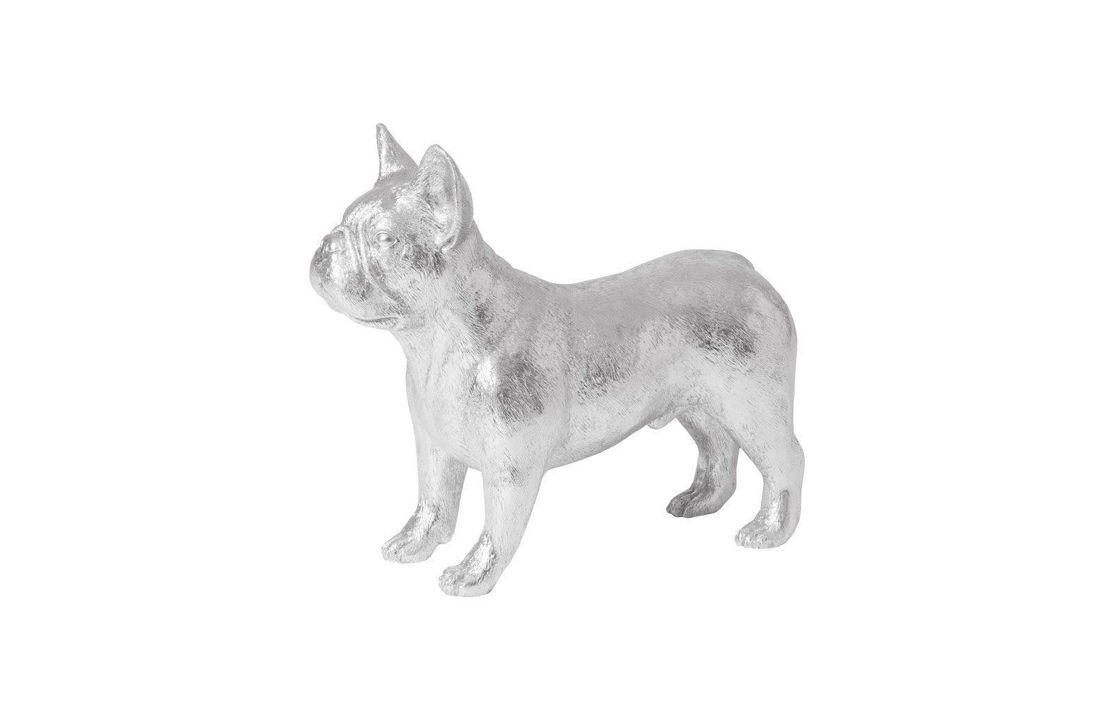 French Bulldog, Silver - Frankwebs