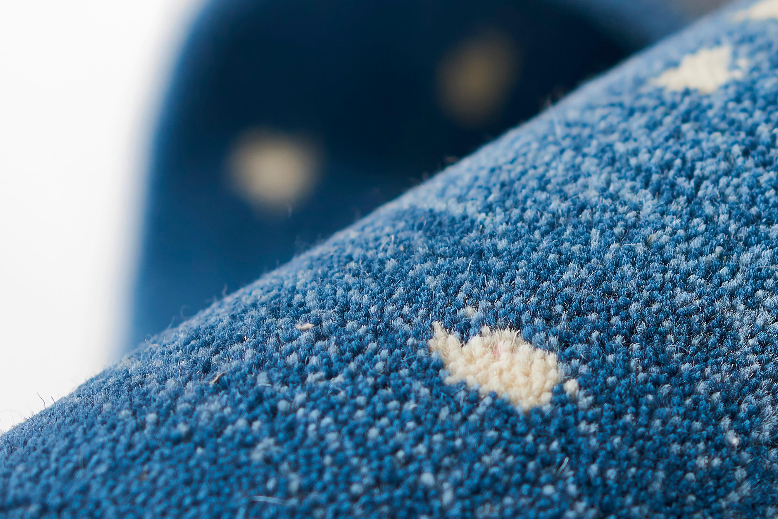 Erin Gates - Antelope - Frankwebs