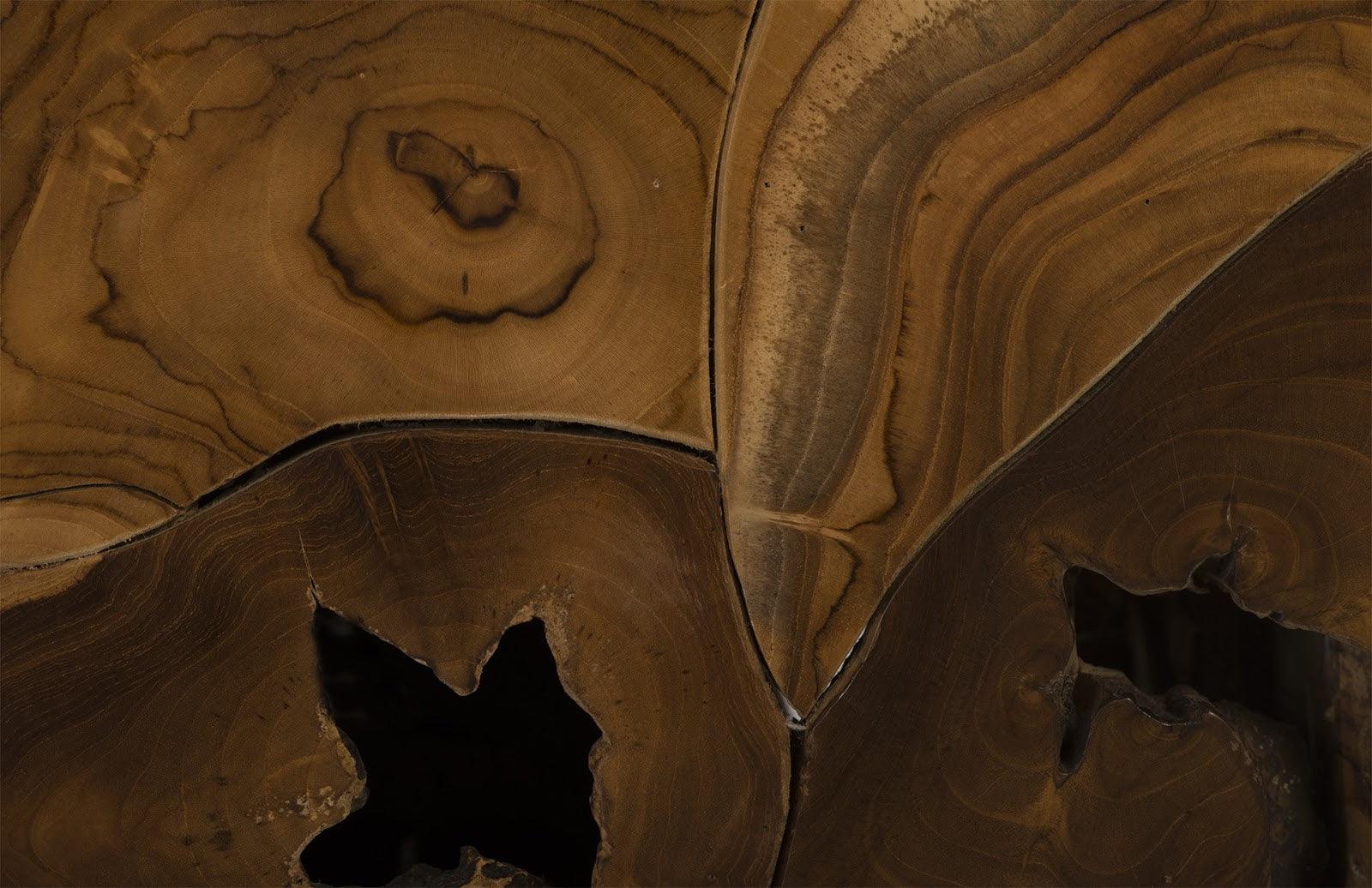 Teak Slice Side Table - Frankwebs