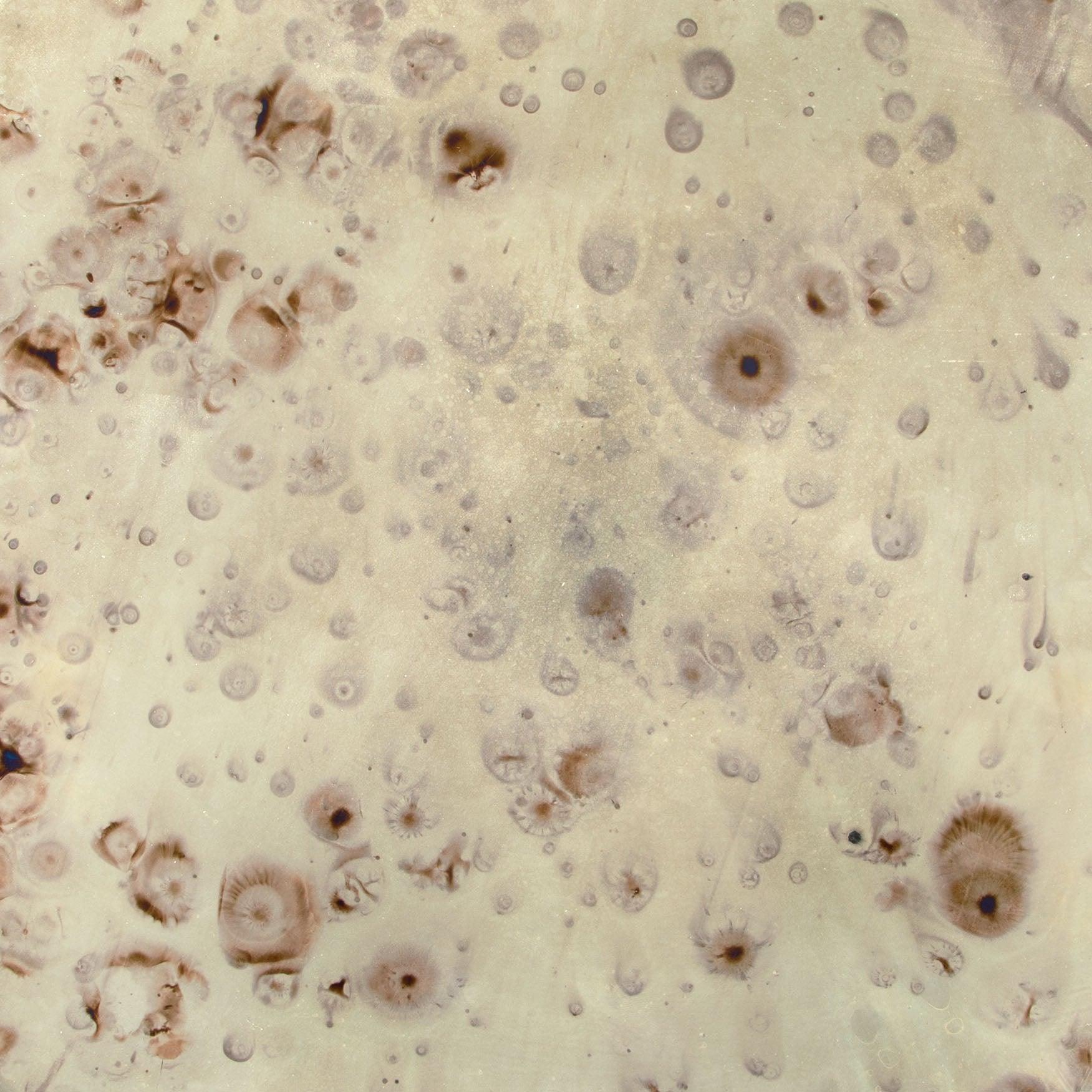 Pam Side Table - Frankwebs