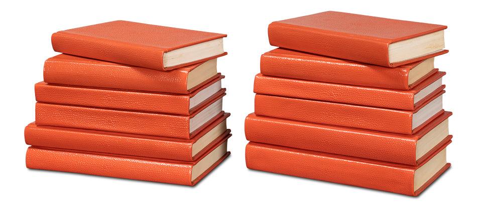 Shagreen Books - Set Of 12 - Orangeade - Frankwebs