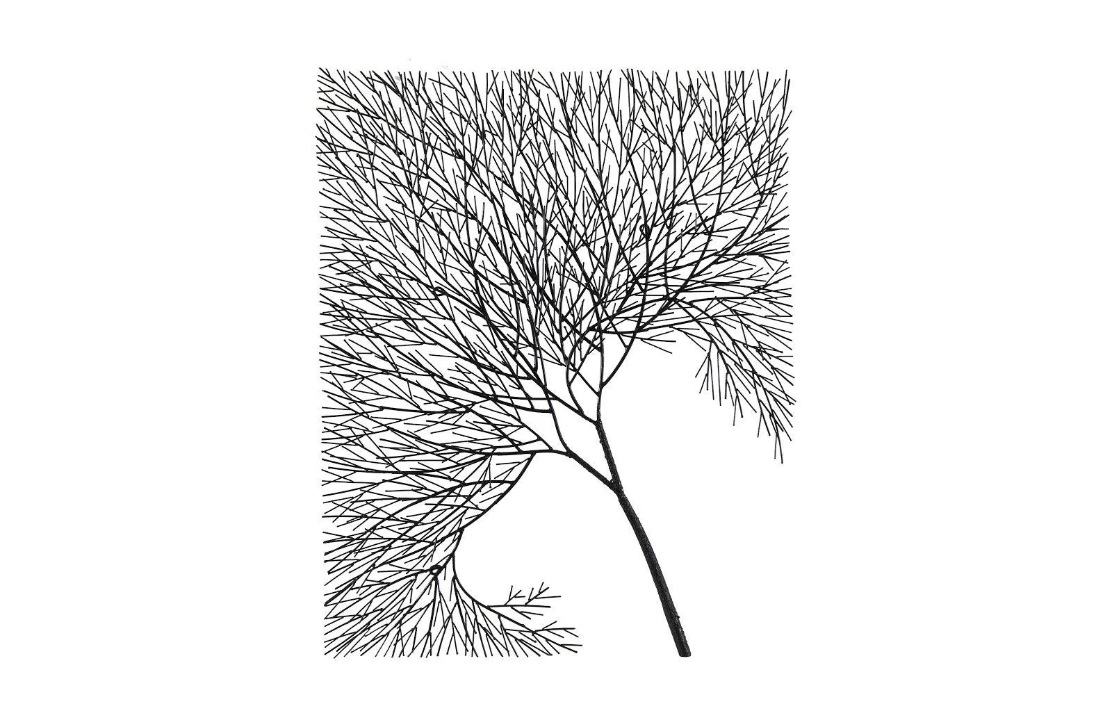 Wire Tree Wall Art, Rectangular, Metal, Black - Frankwebs