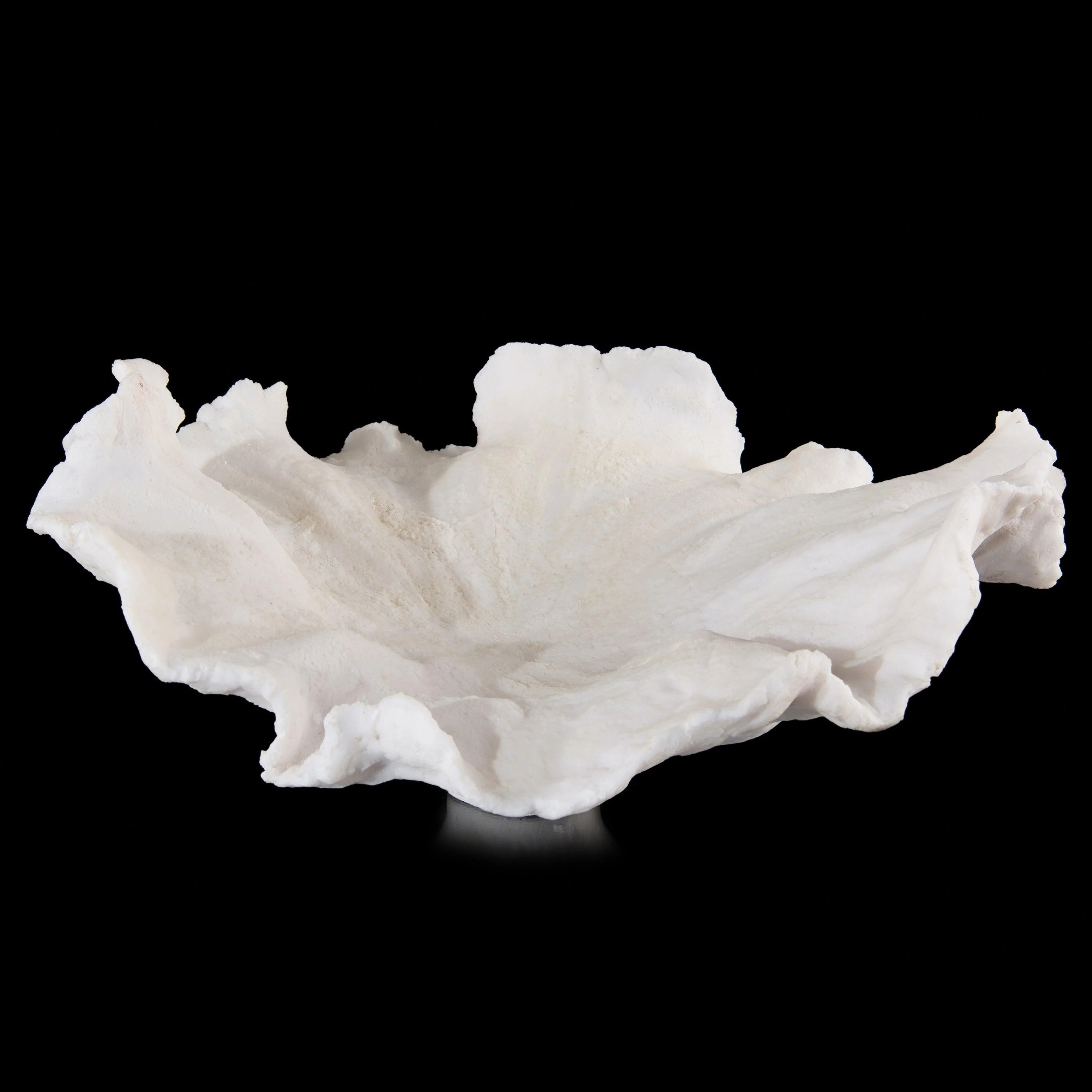 Floating Wave Bowl - Frankwebs