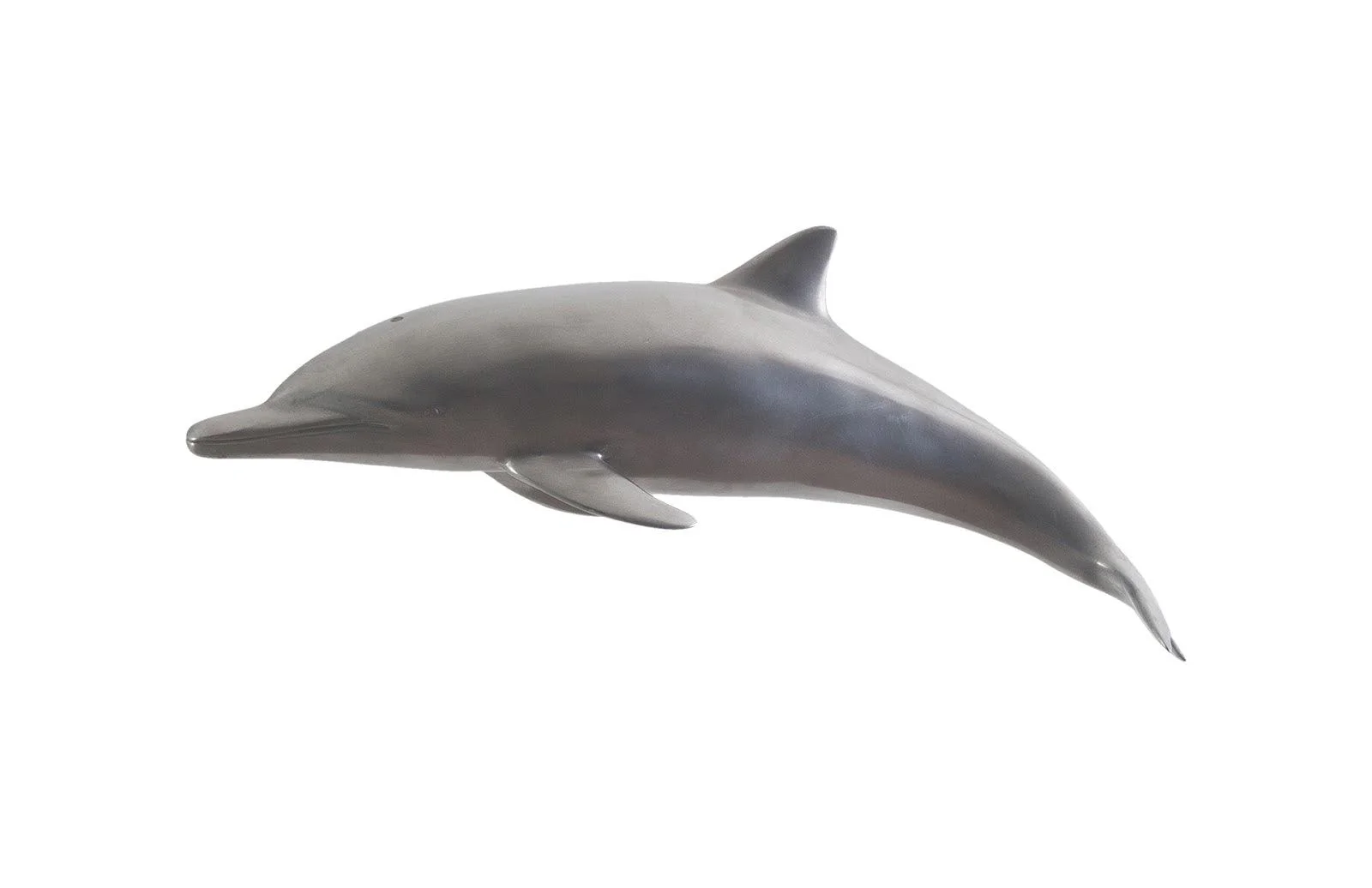 Dolphin, Polished Aluminum - Frankwebs