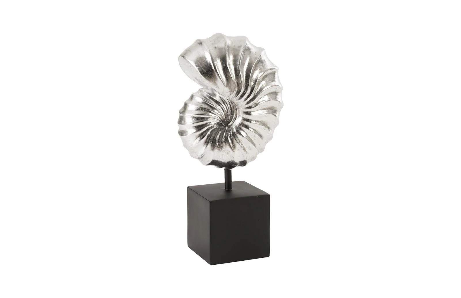 Nautilus Shell on Base, Silver Leaf - Frankwebs
