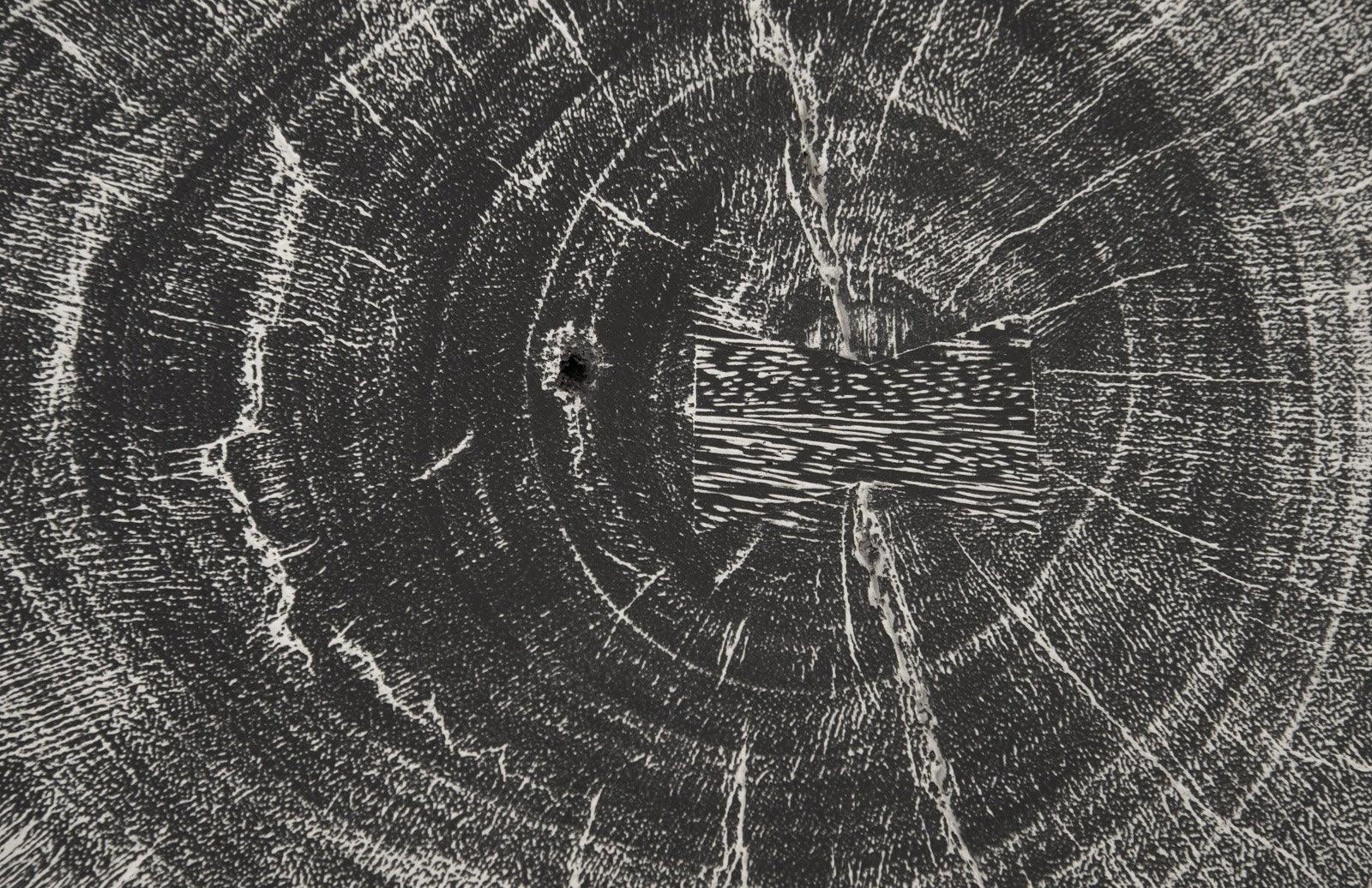 Curved Wood Stool, Thick , Gray Stone, Gray Stone - Frankwebs