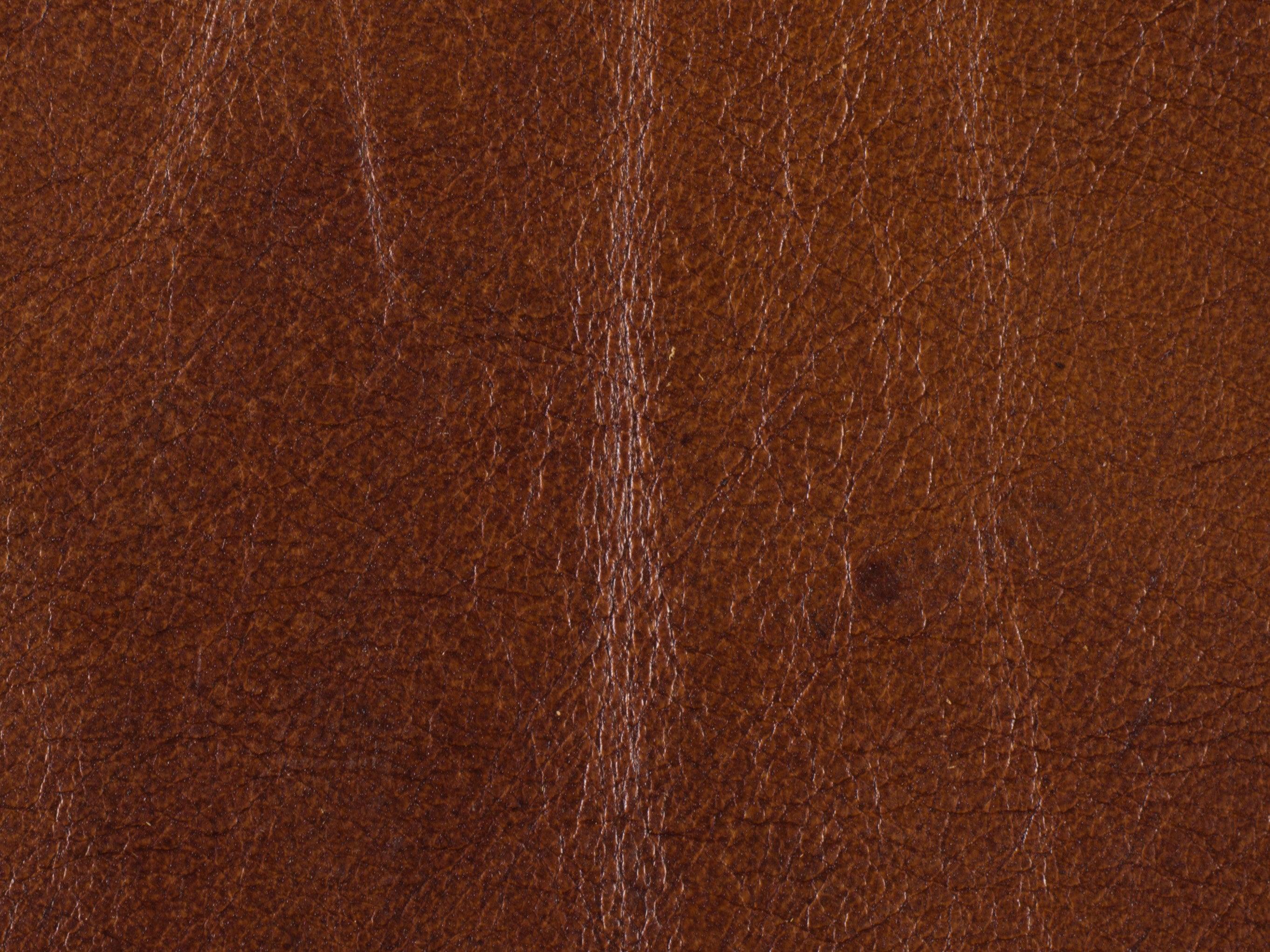 Exton Stationary Sofa - Frankwebs