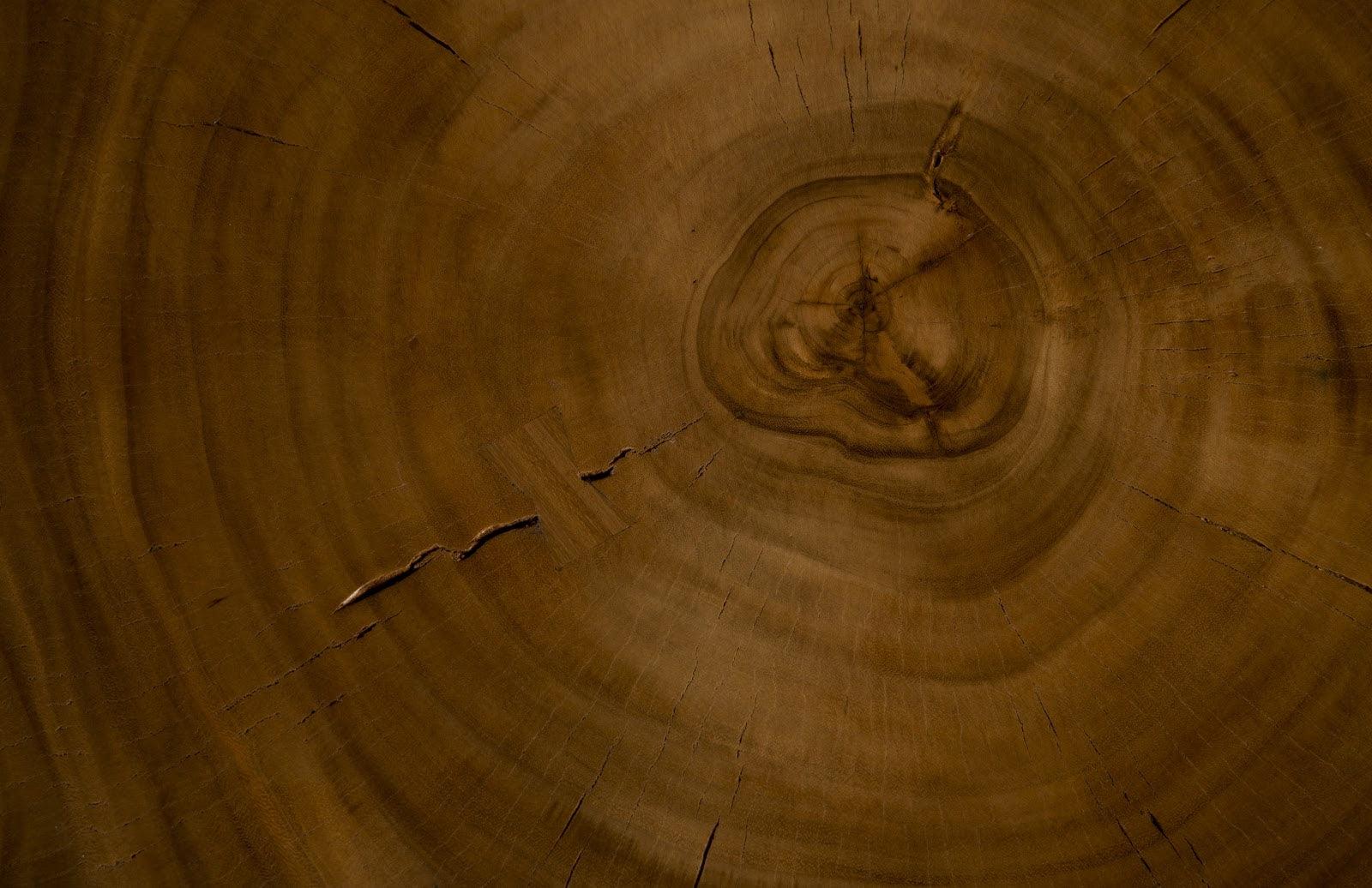 Chuleta Bar Table on Black Metal Base, Chamcha Wood, Natural - Frankwebs