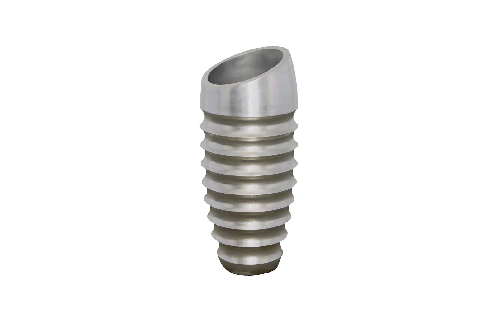 JP Planter , Silverleaf - Frankwebs