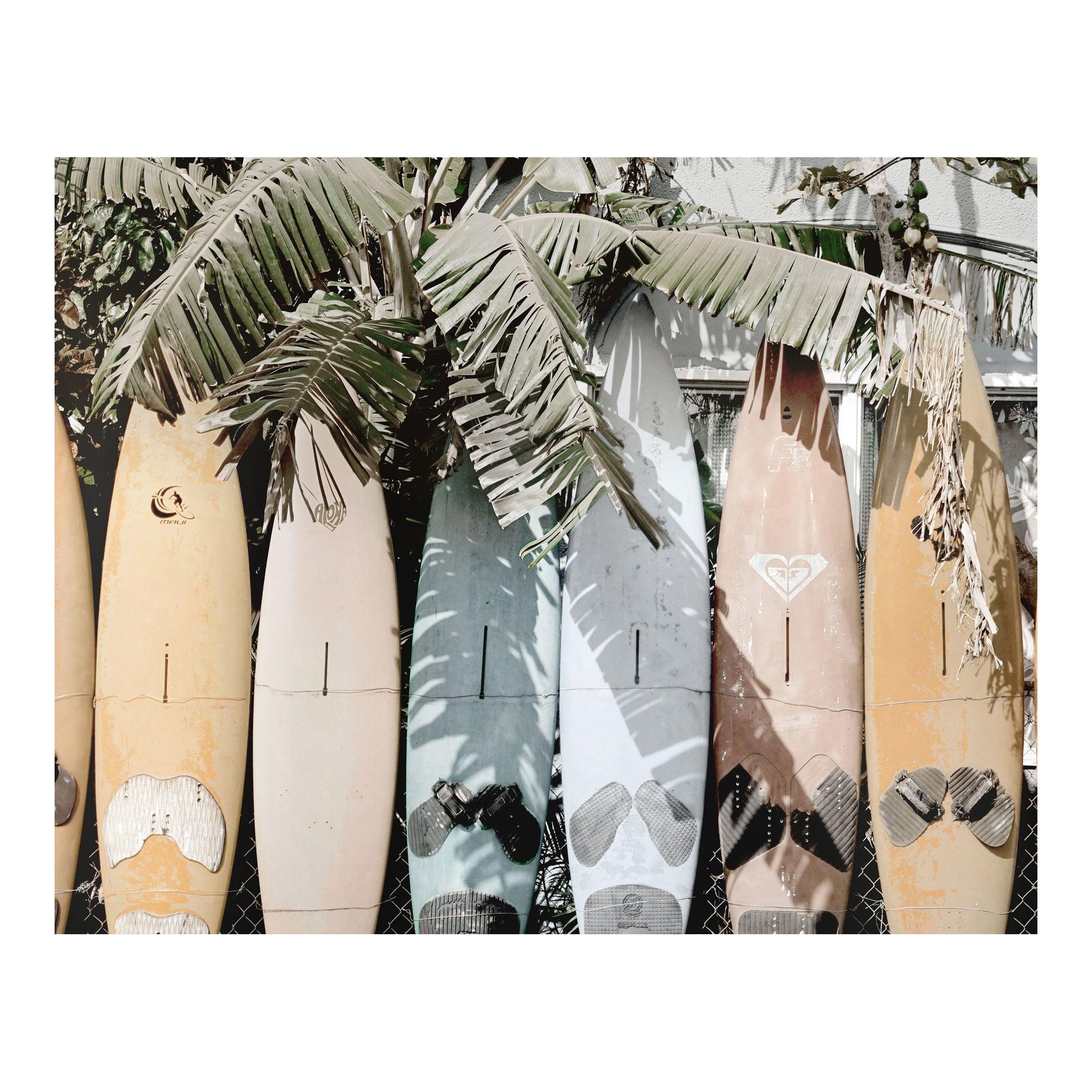 Surfs Up Wall Décor - Frankwebs