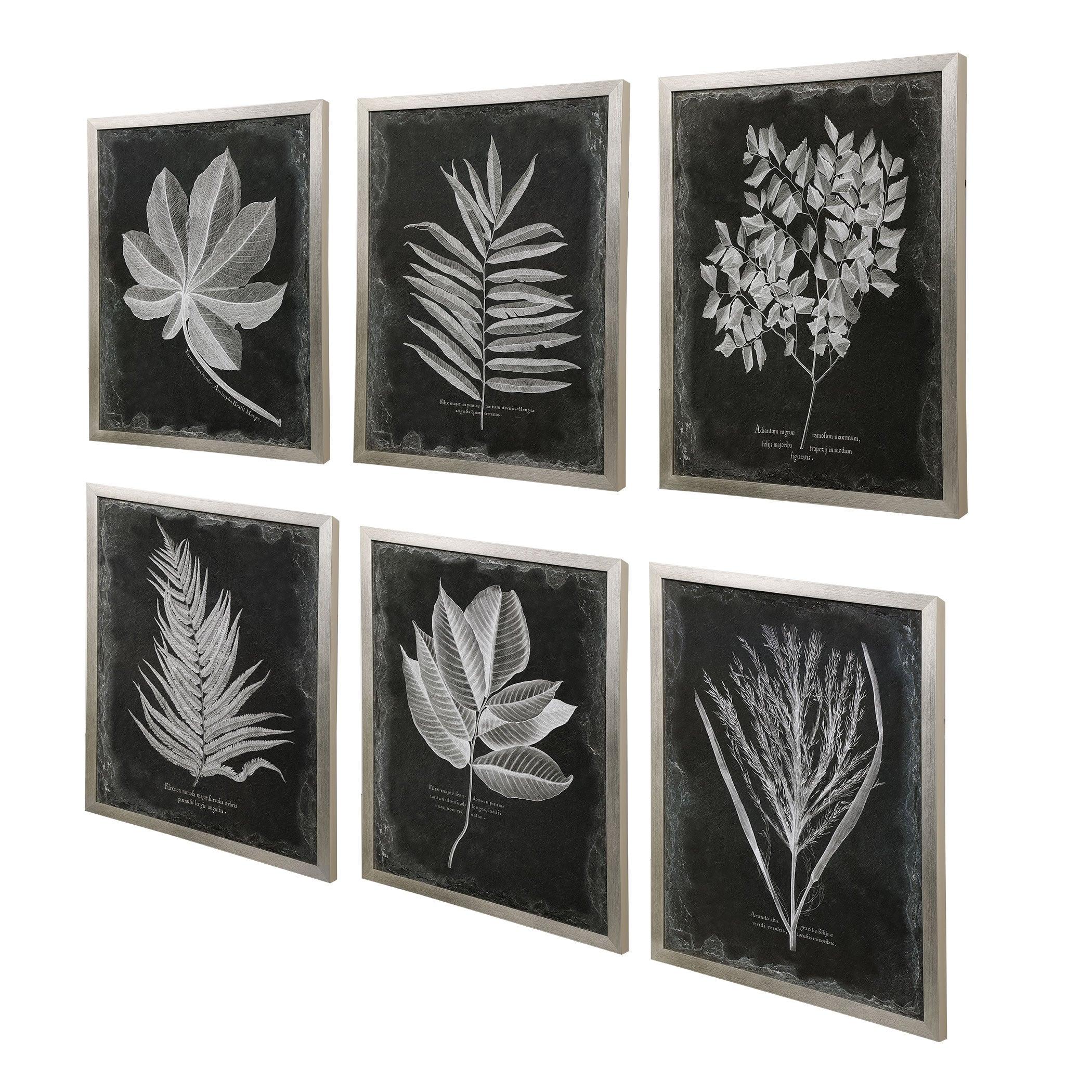 FOLIAGE FRAMED PRINTS, SET OF 6 - Frankwebs