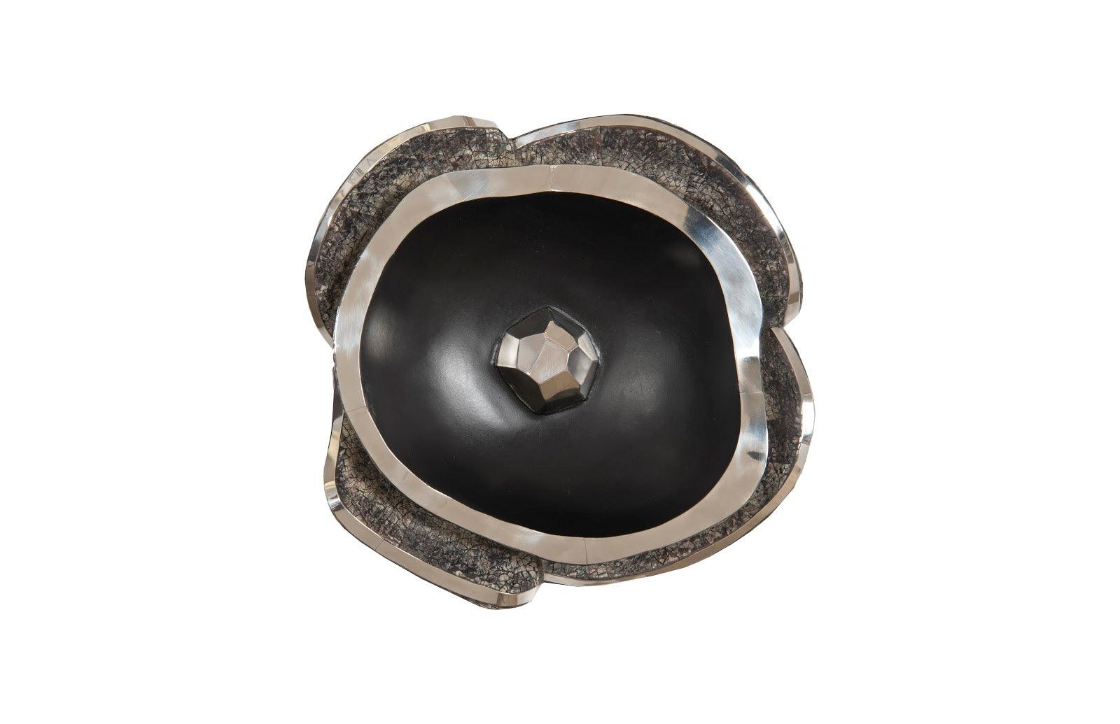 Pen Shell Wall Art - Frankwebs