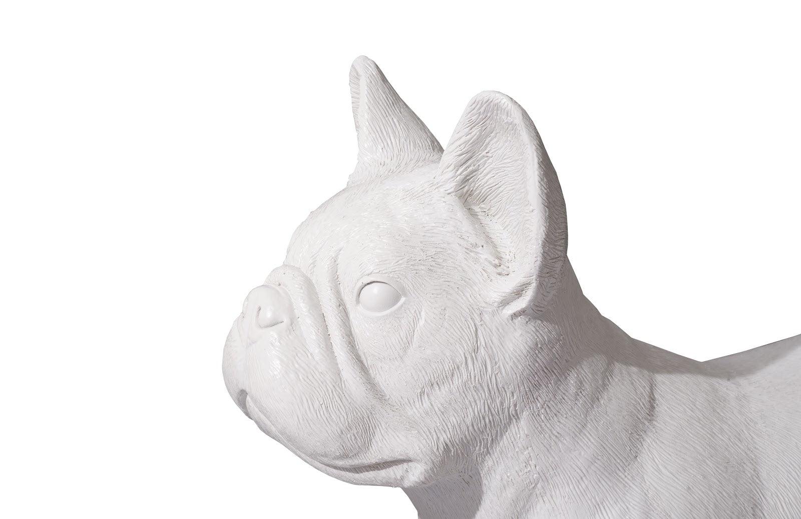 French Bulldog, Gel Coat White - Frankwebs