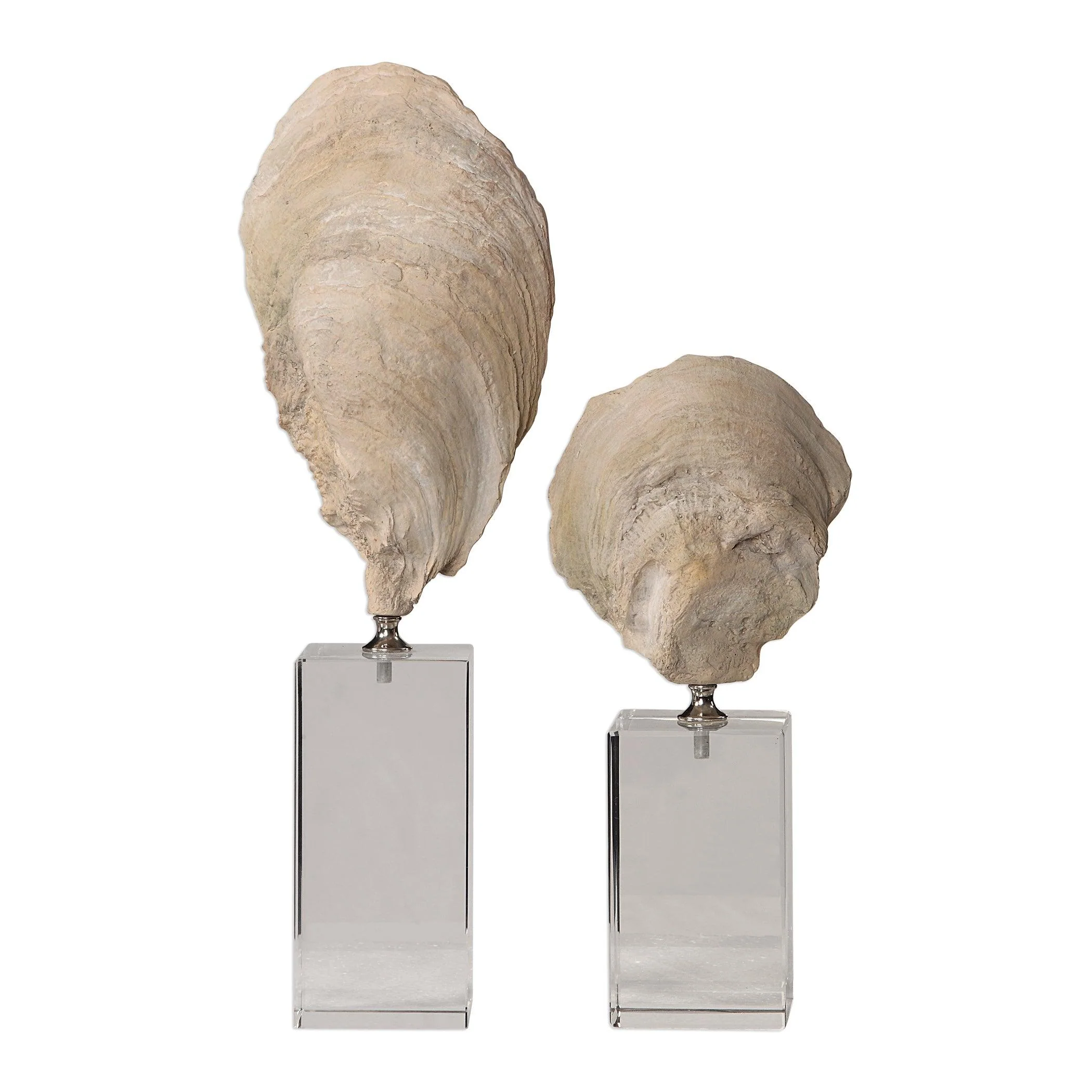 OYSTER SHELL SCULPTURES, SET OF 2 - Frankwebs